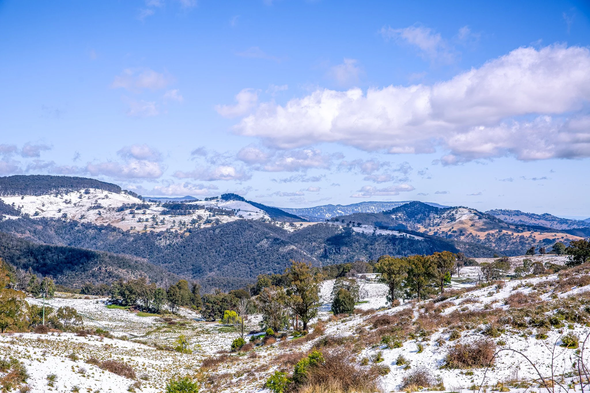 Barrington Snow