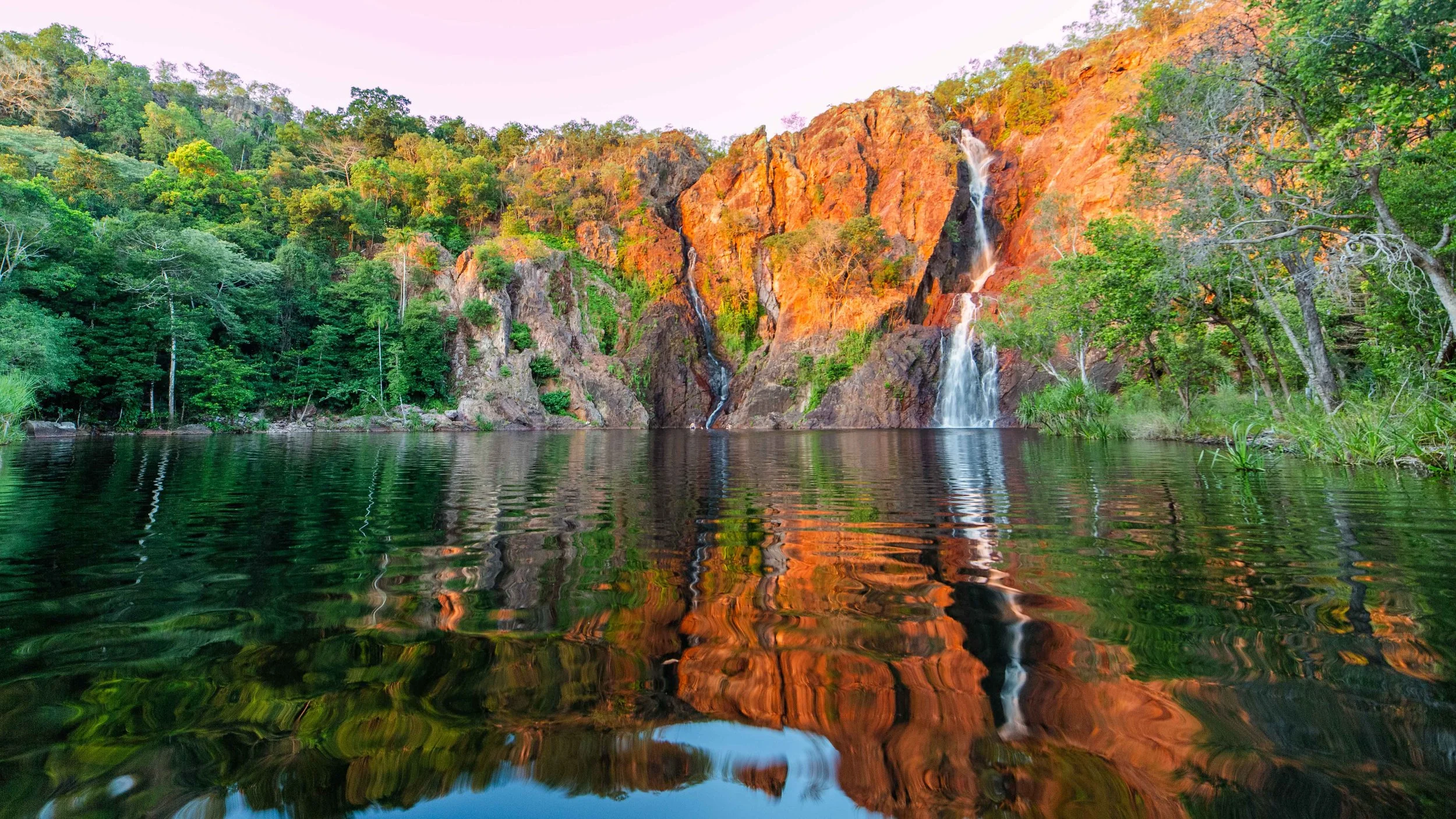 kakadu.jpg