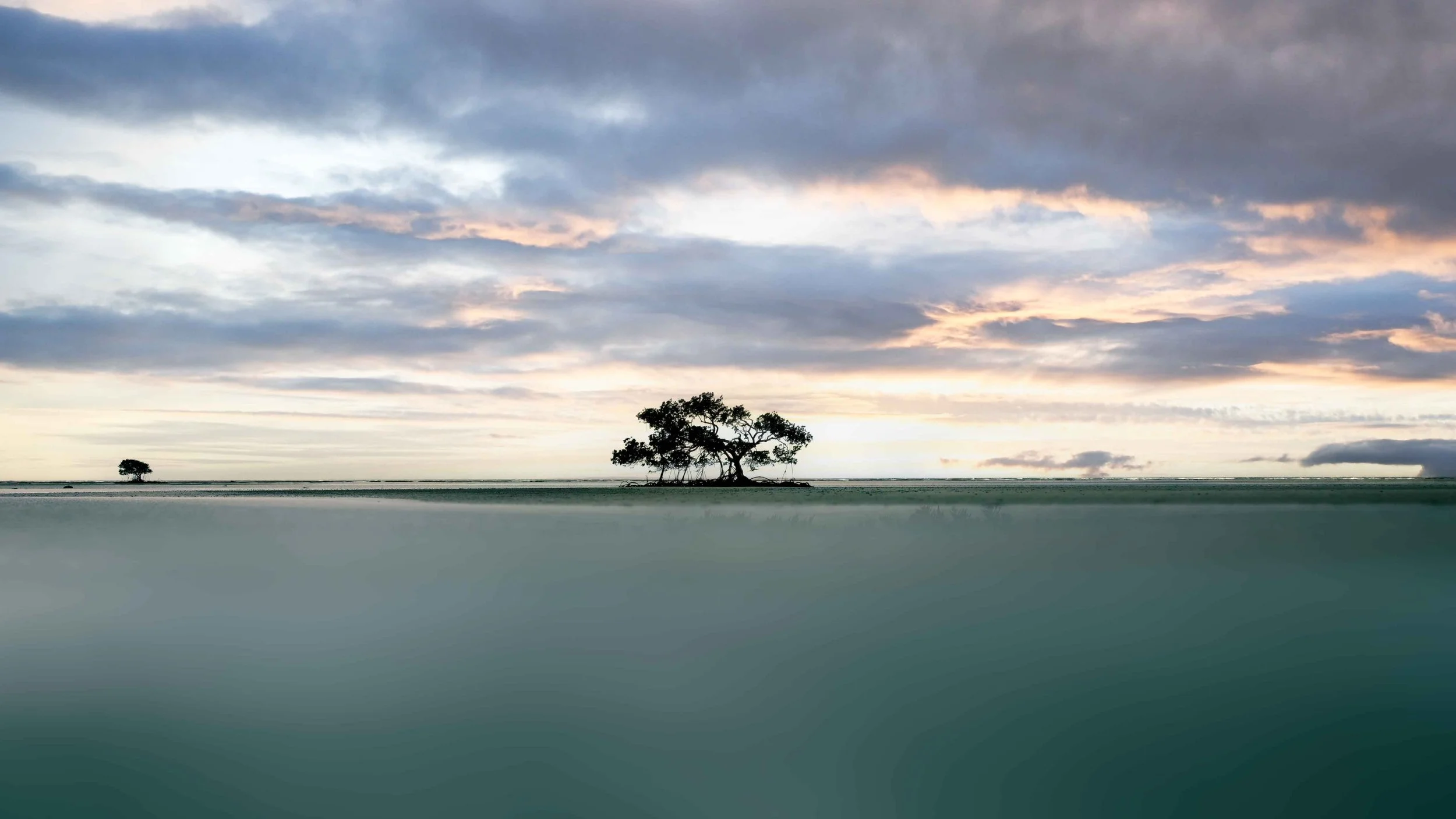 daintree beach.jpg