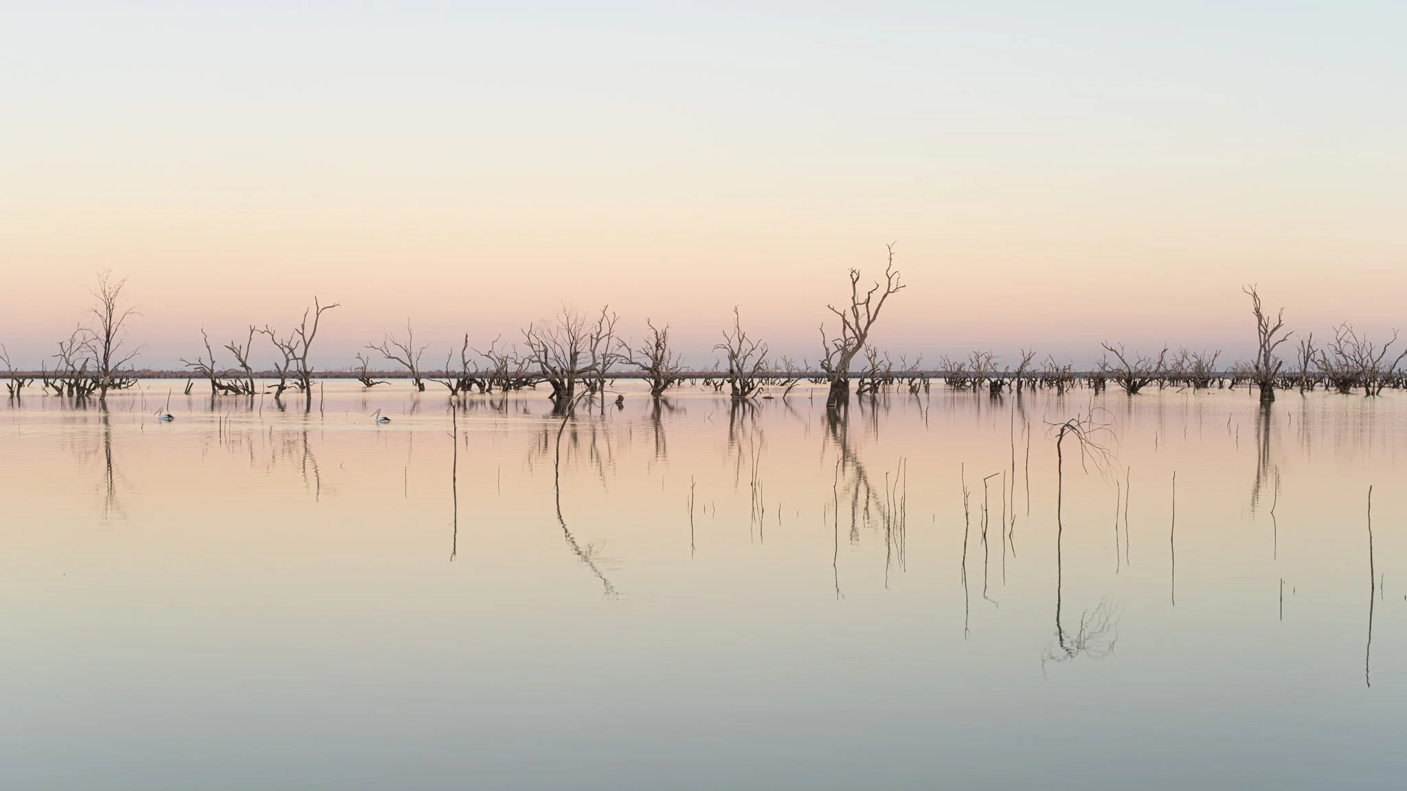 pelican lake.jpg