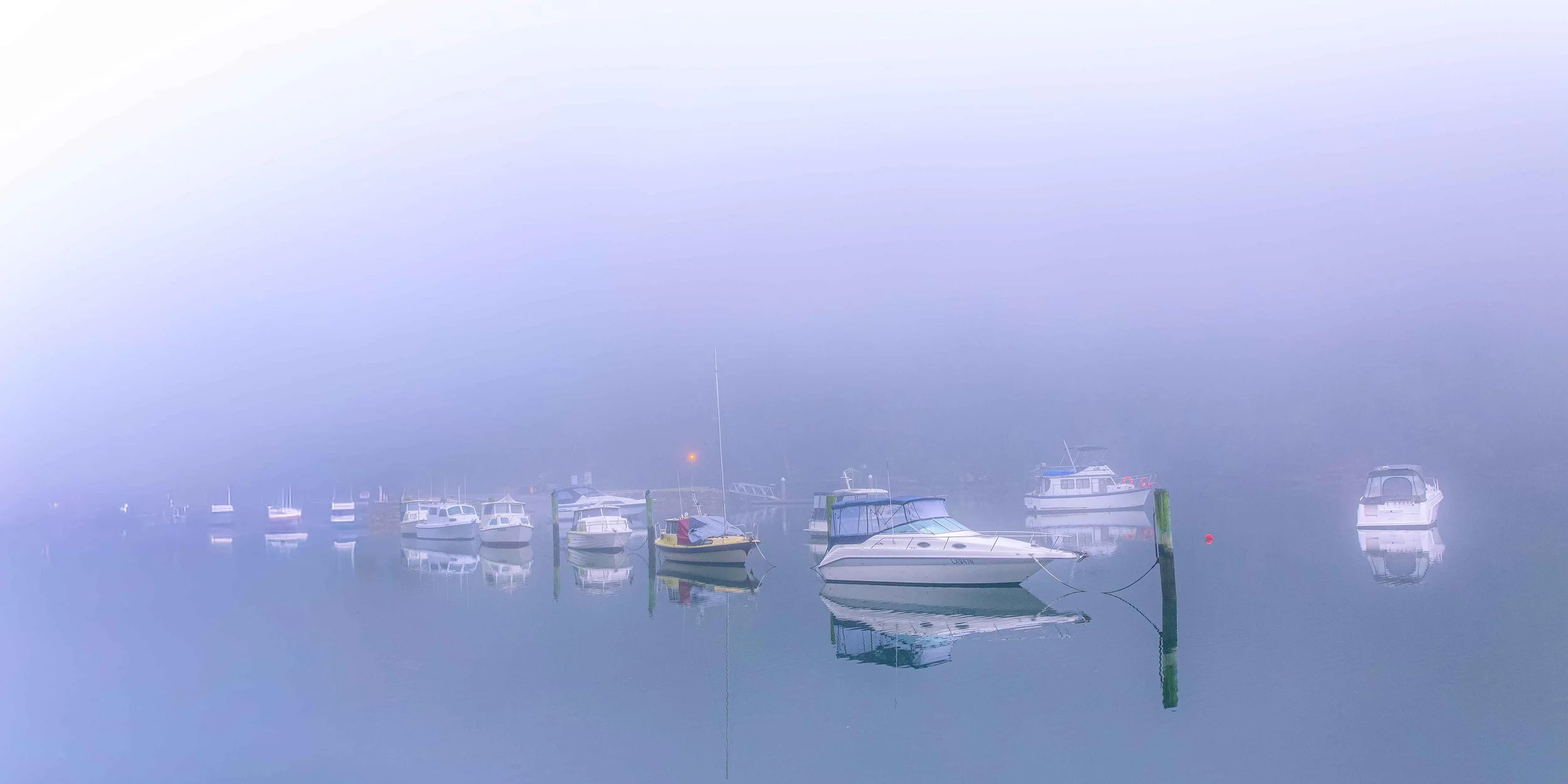 apple tree bay.jpg