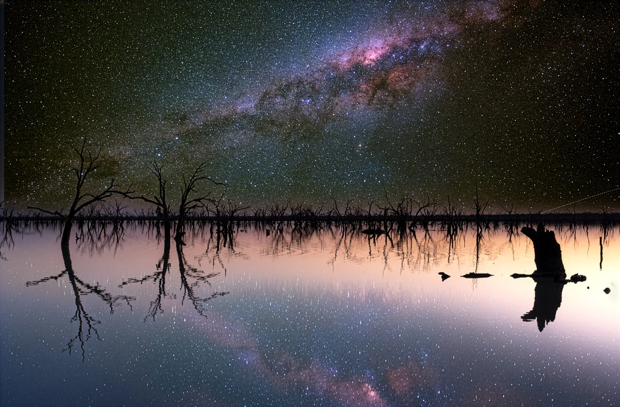 Firefly Generated Image.jpg