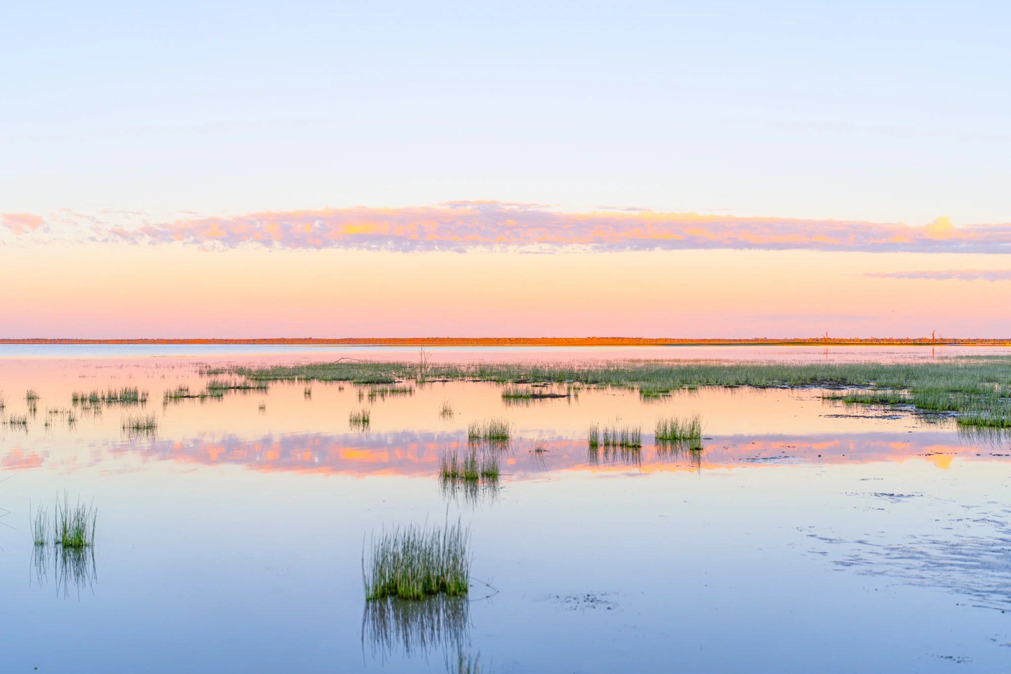 menindee wetlands light.jpg