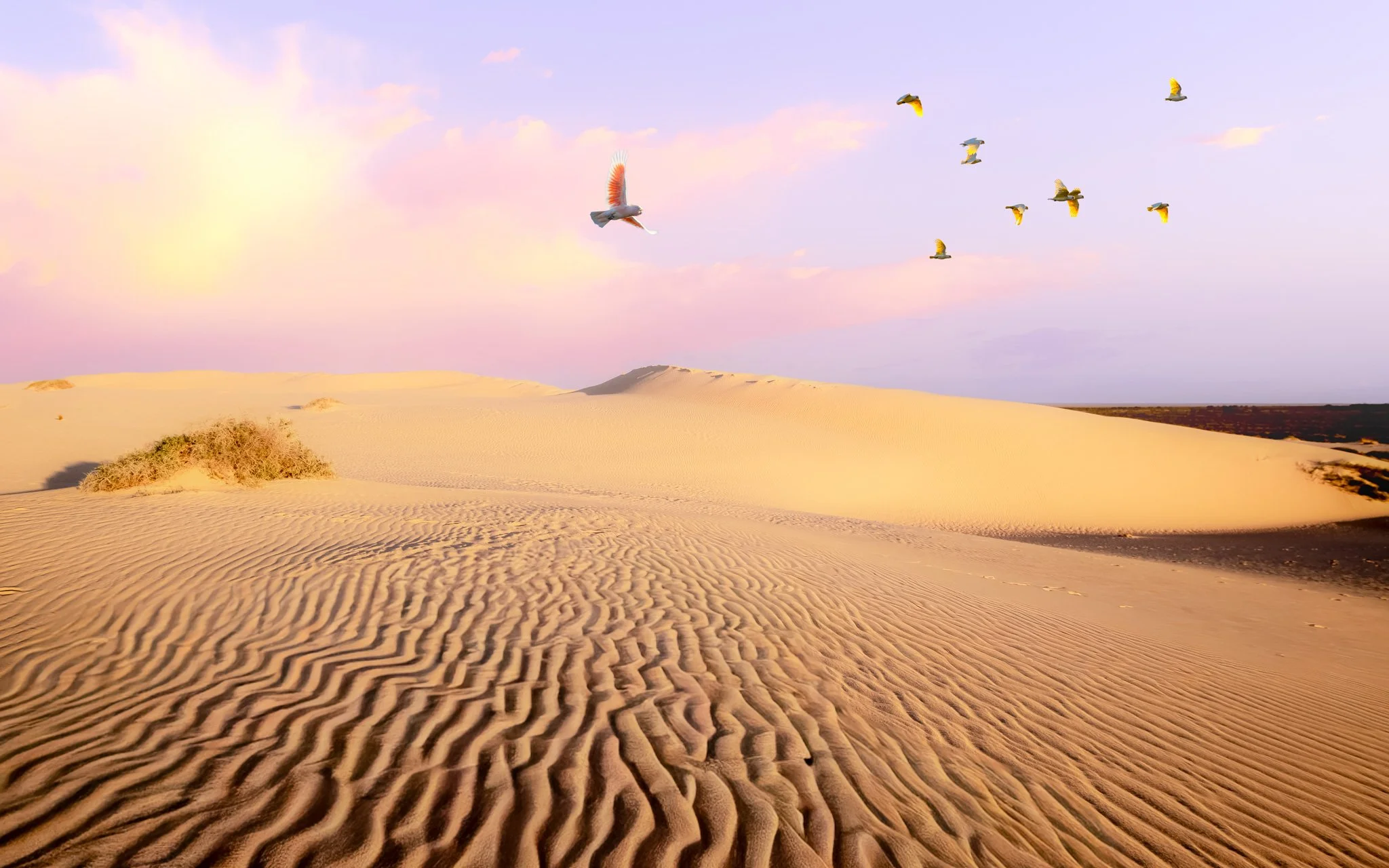 mungo dunes 2.jpg