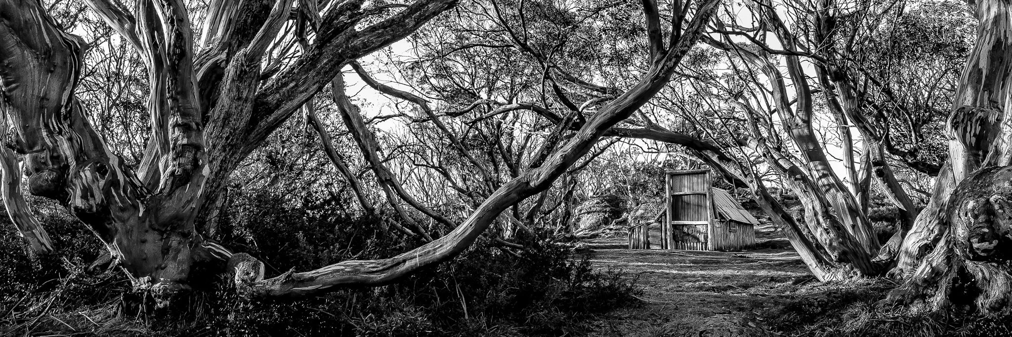 wallace hut bw.jpg