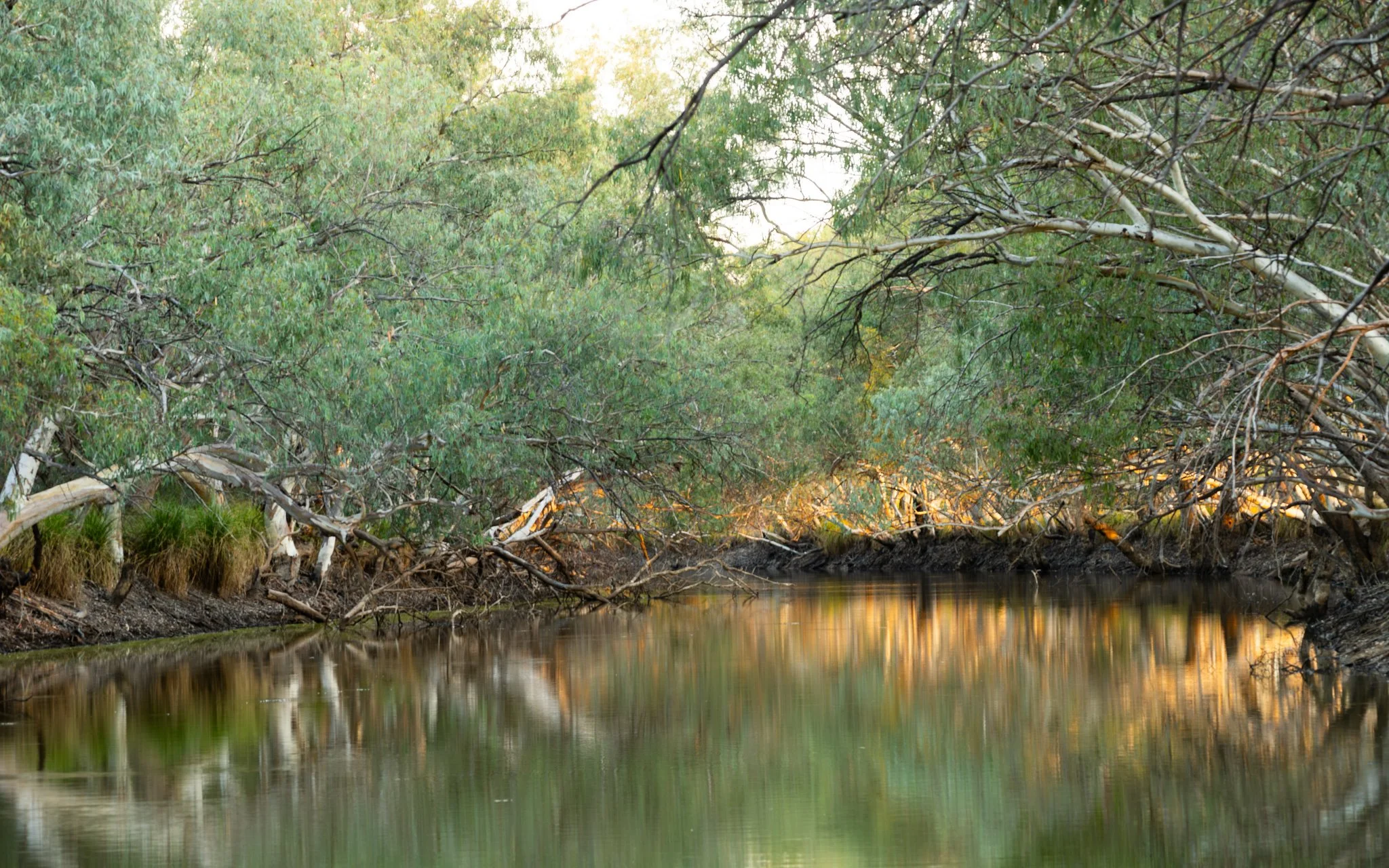 Paroo River.jpg