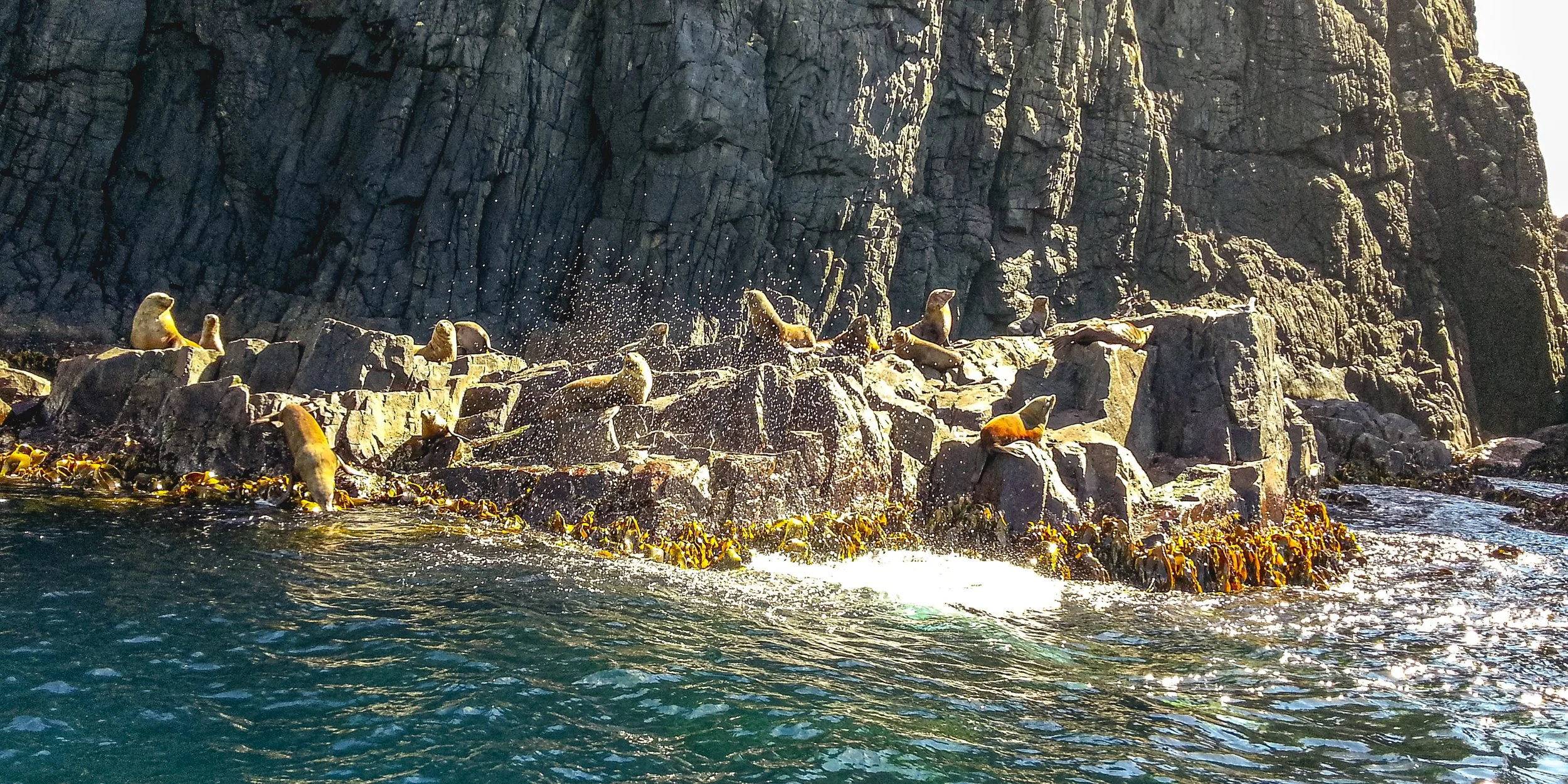 20130326_125645.jpg