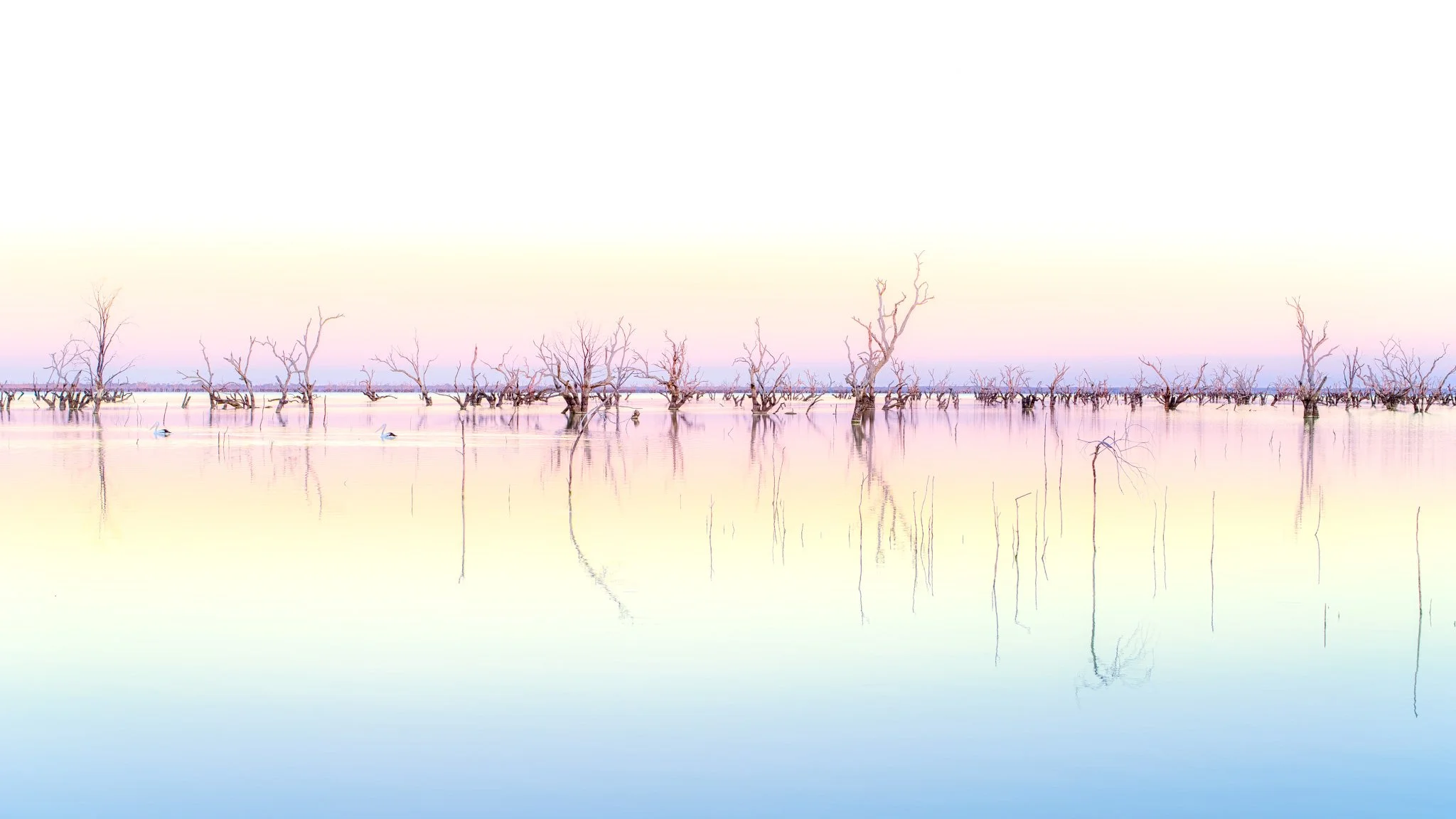 pastel dawn.jpg