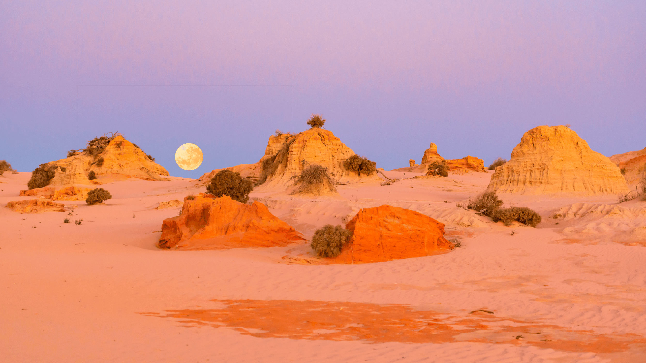 Mungo Moon