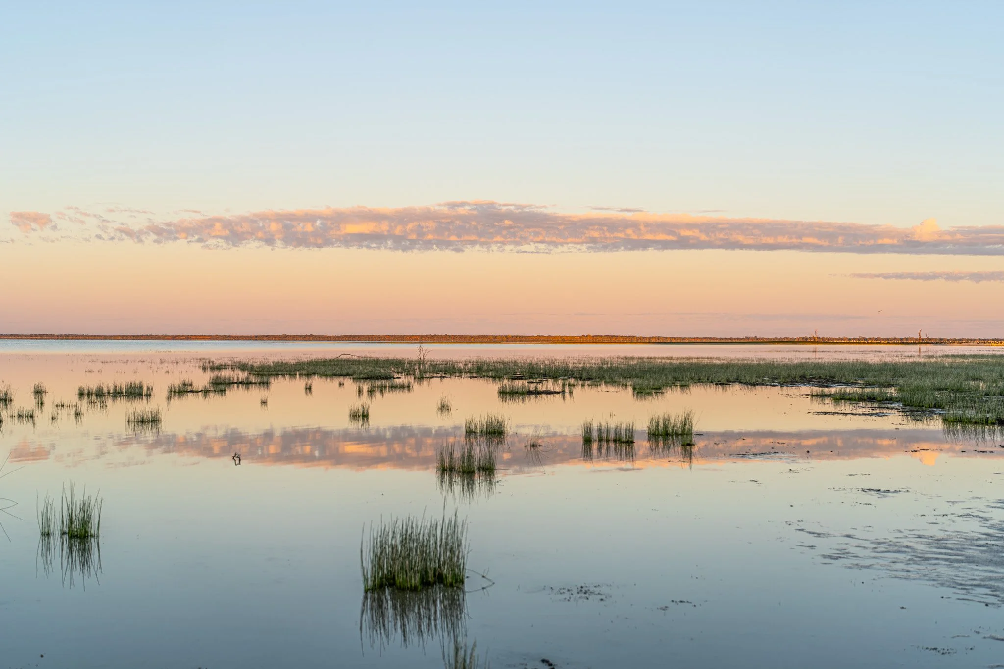 menindee after rain.jpg