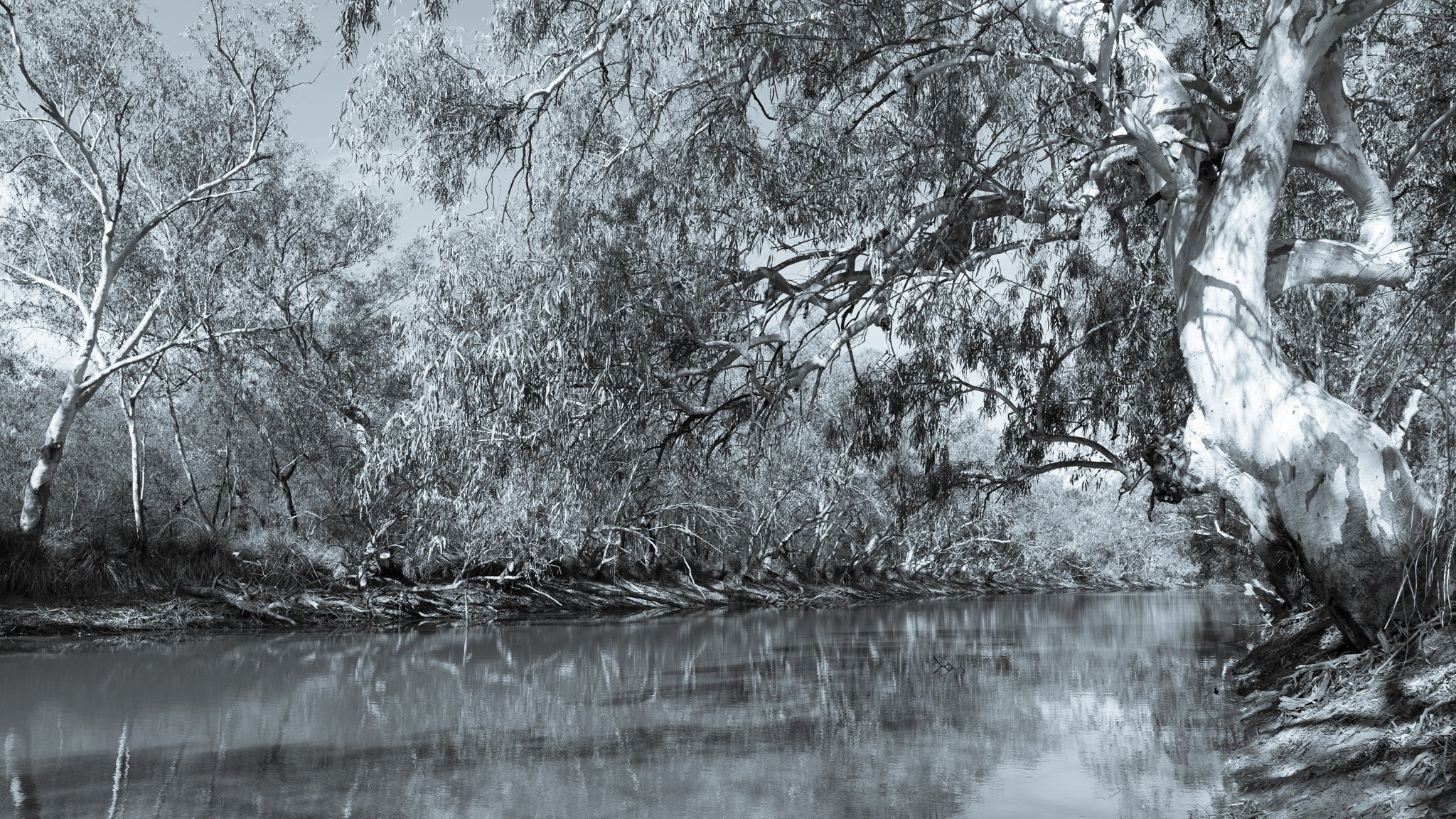 Paroo River bw.jpg