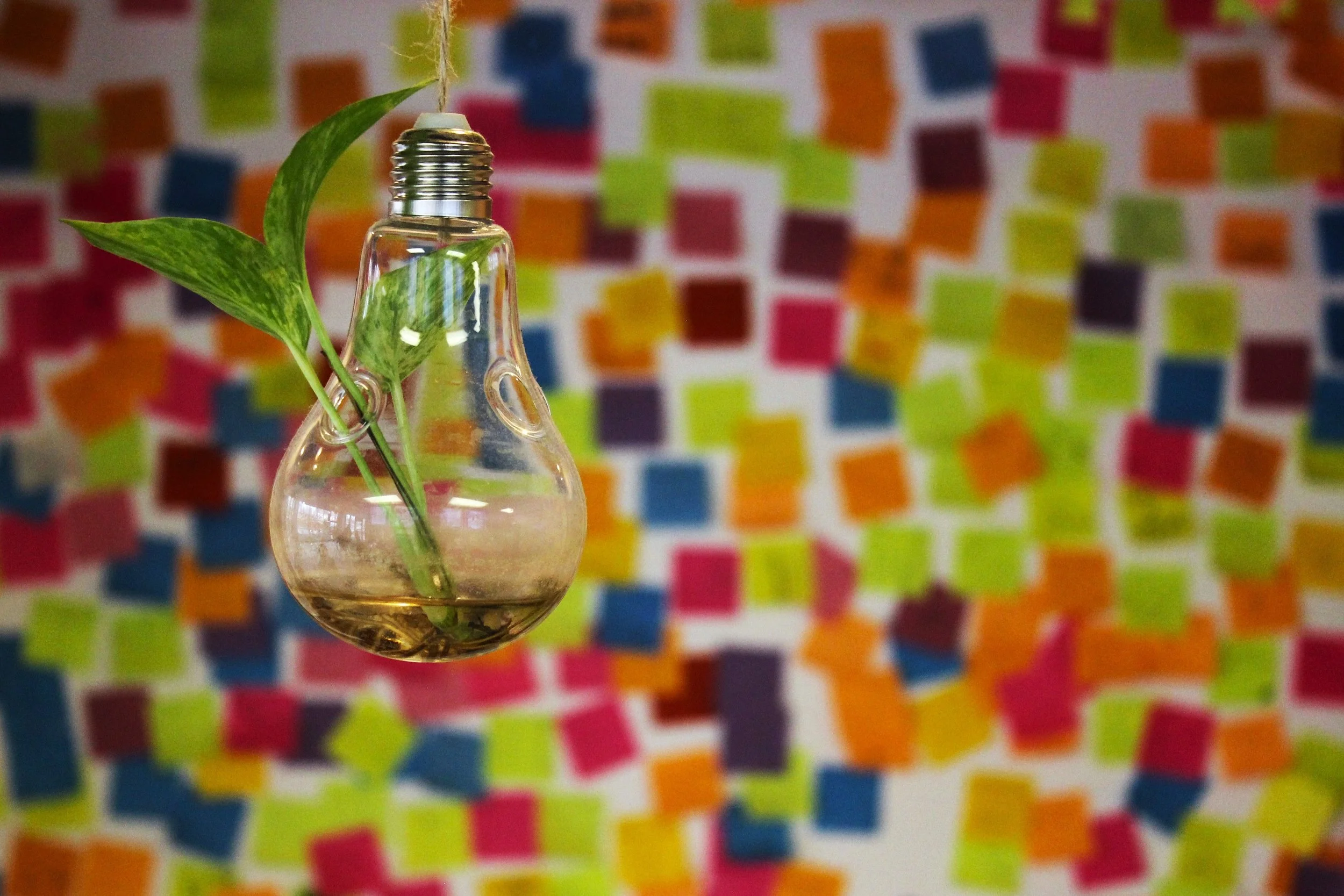 Forging the Innovation Nation