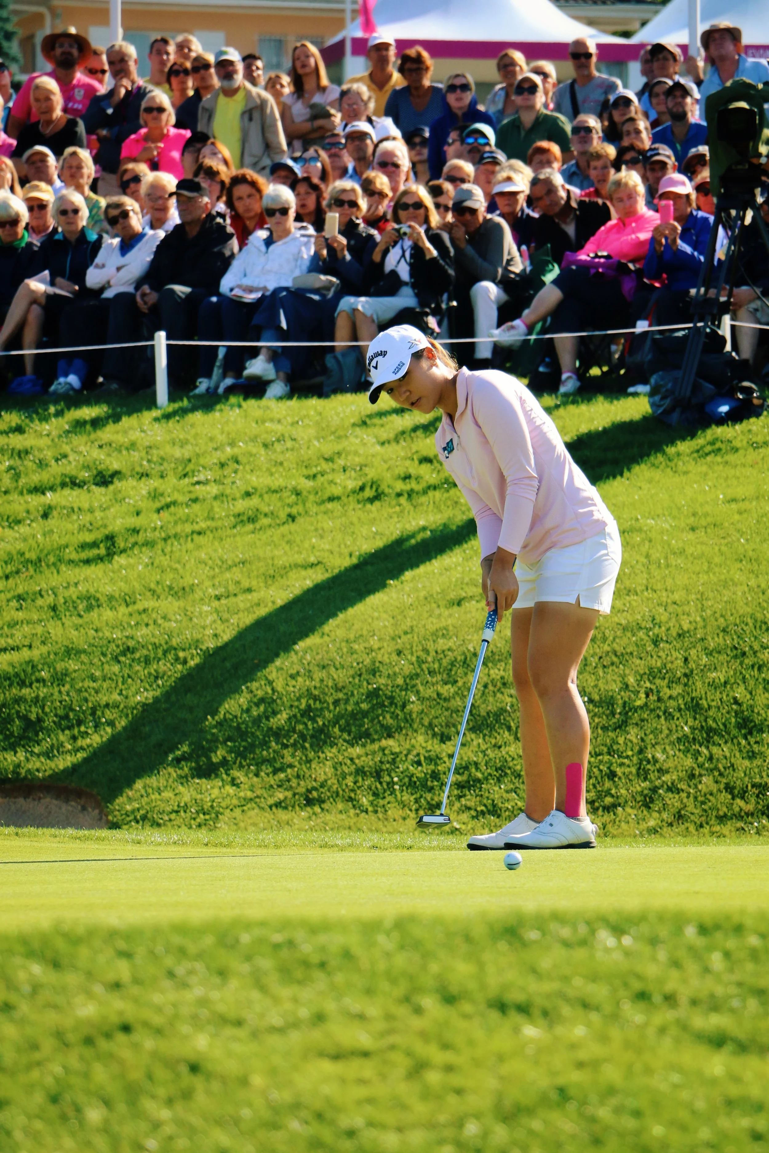 Photo 13-09-2015 15 13 39.jpg