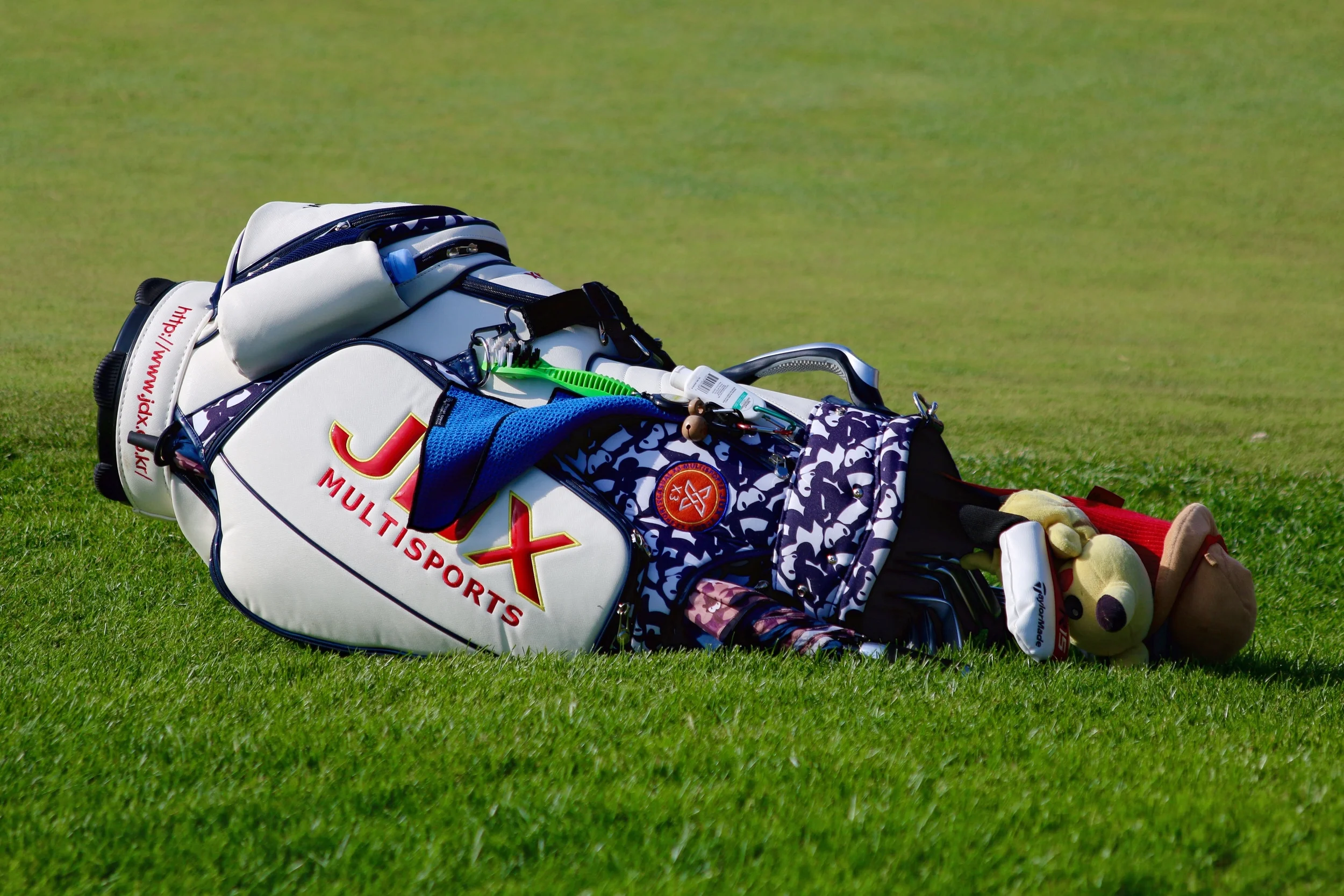 Photo 11-09-2015 15 47 48.jpg