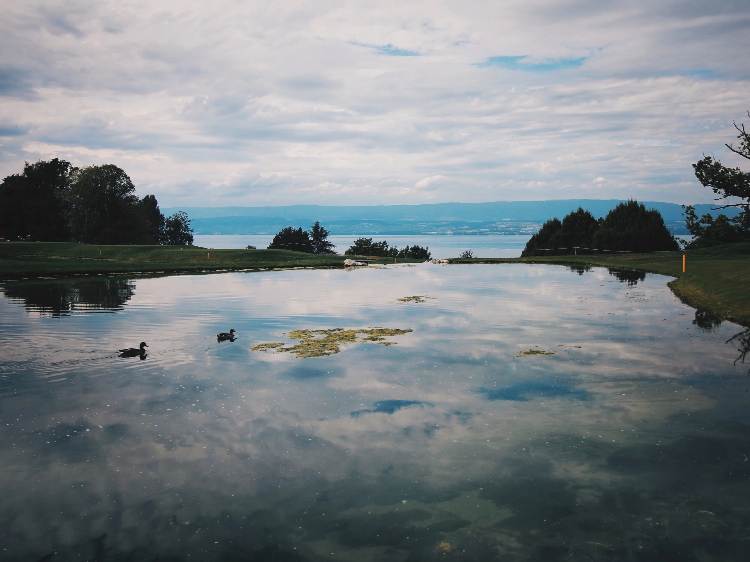 Photo 12-09-2015 13 36 58 (1).jpg