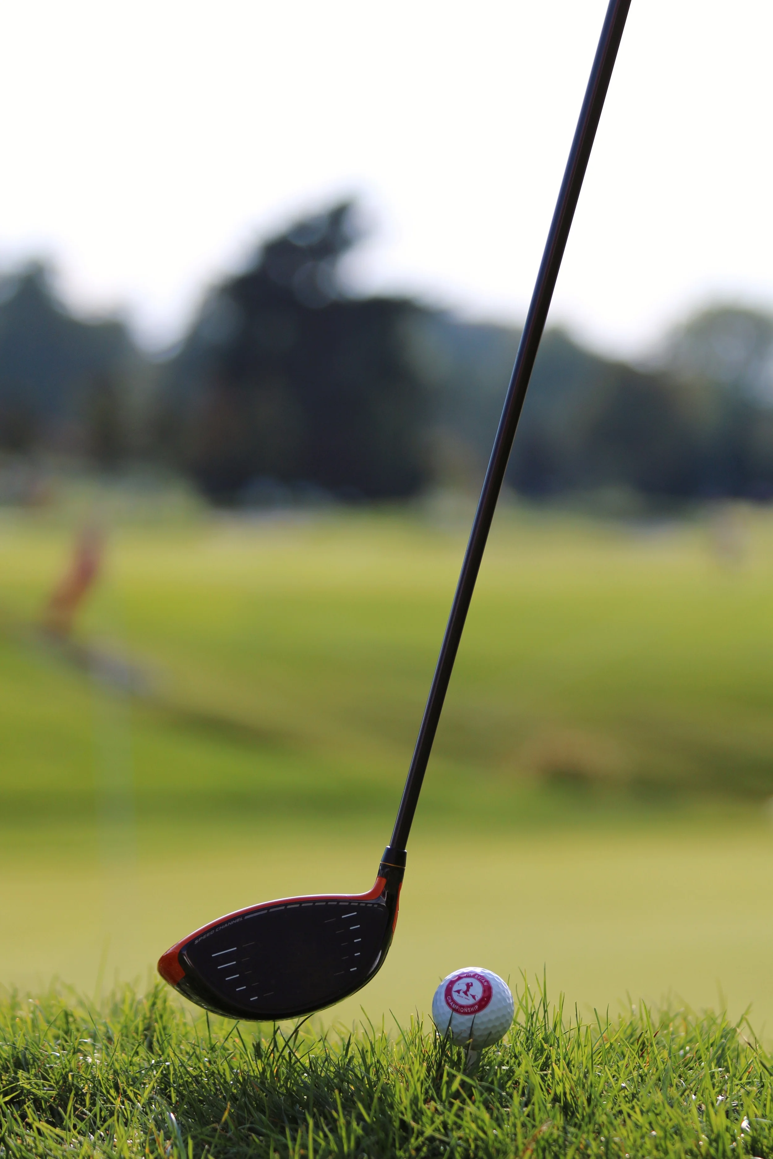 Photo 10-09-2015 16 32 18.jpg