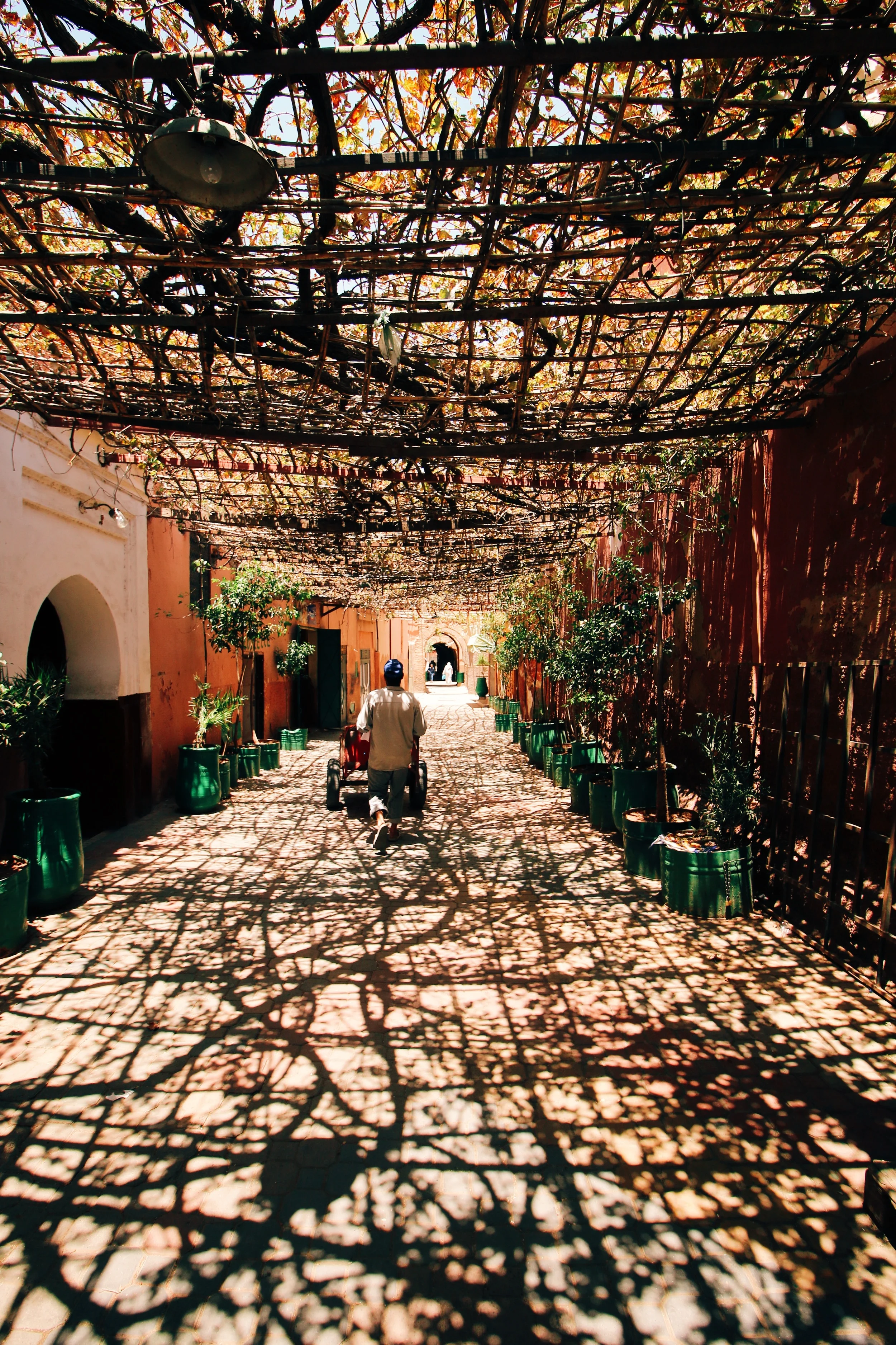 Marrakesh - Morocco