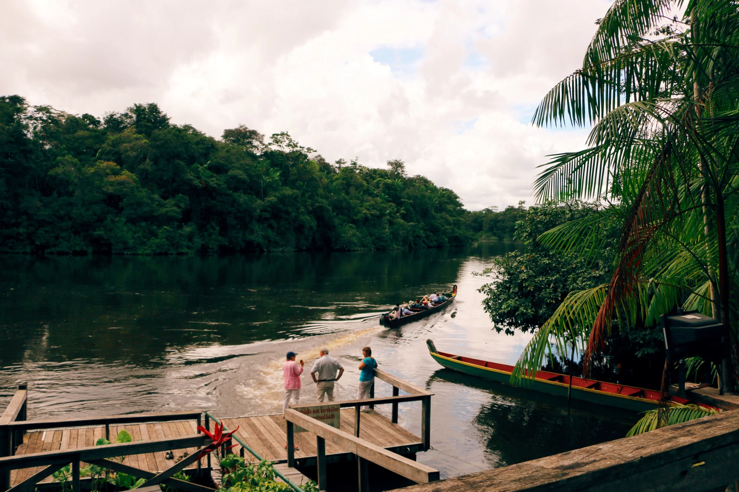 Kourou River - French Guiana