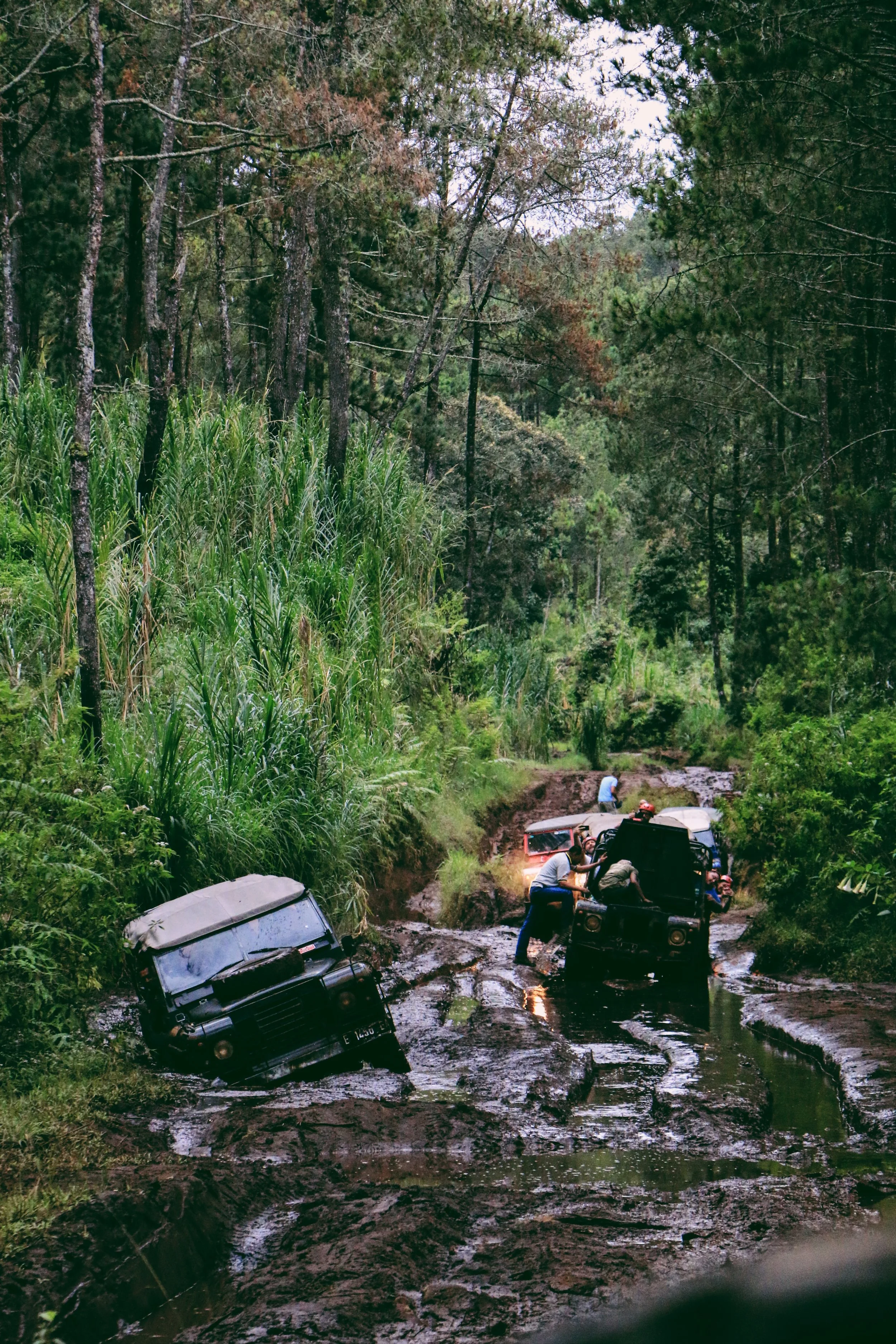 Day 2: Jayagiri Forest - Bandung