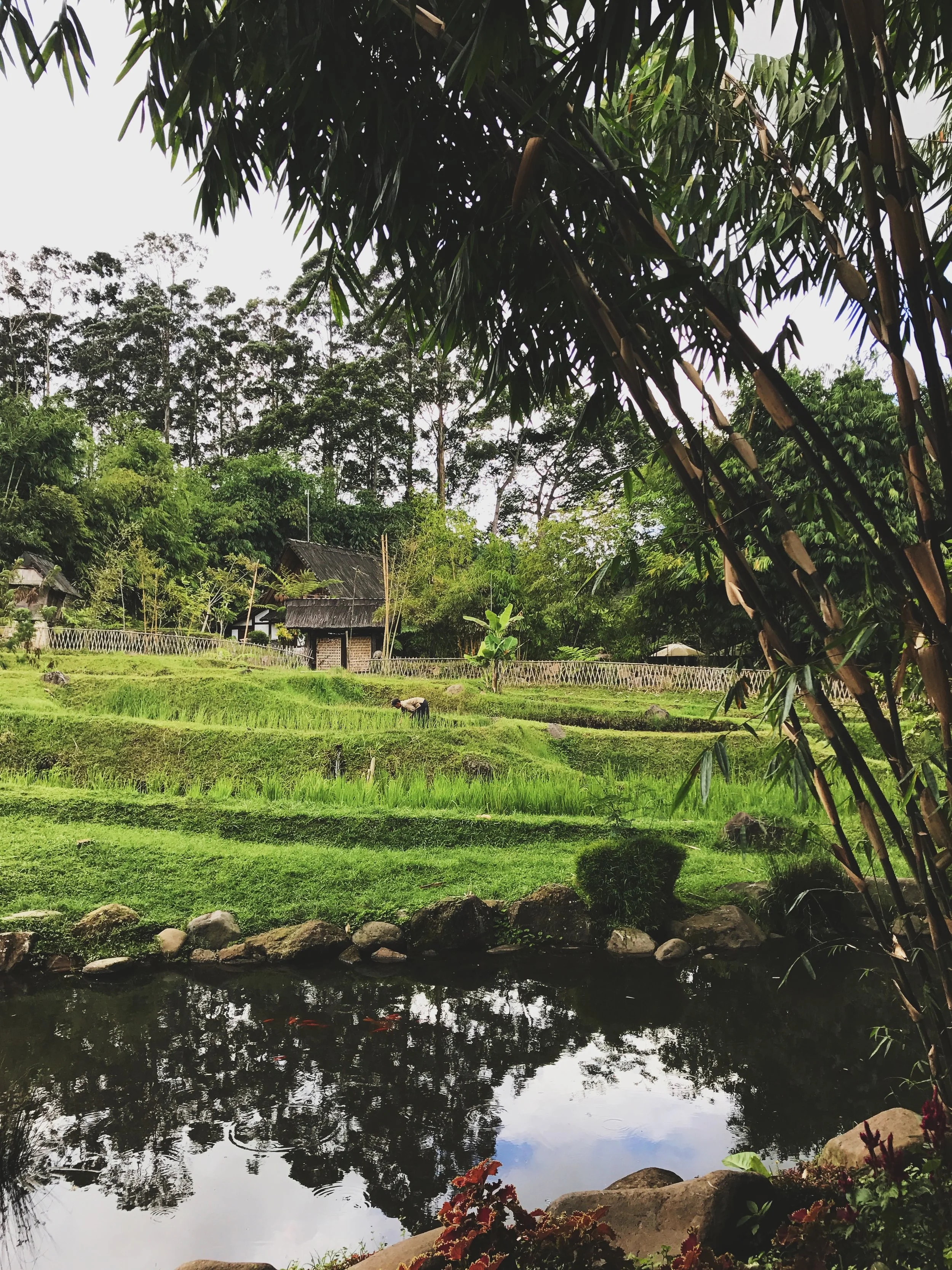 Day 2: Dusun Bambu Lembang - Bandung