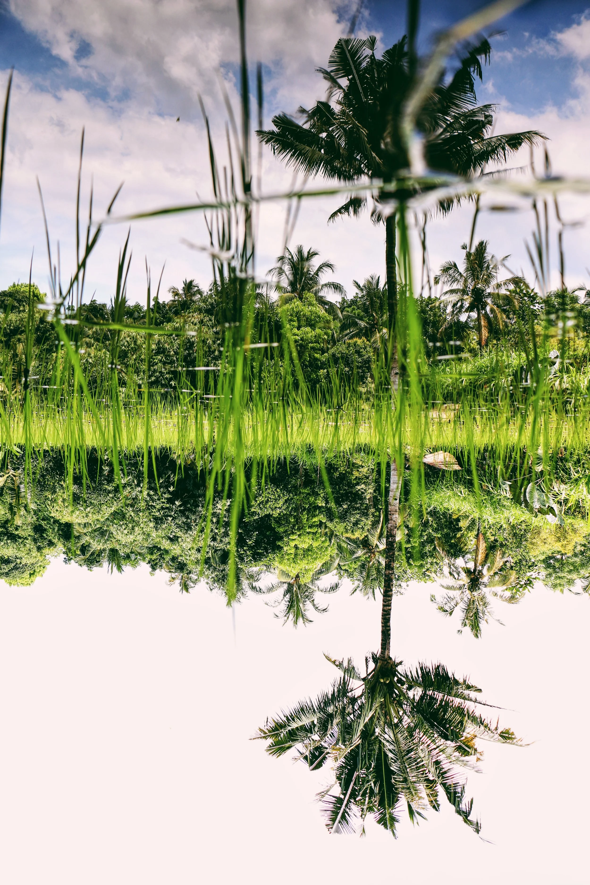 Day 4: Penting Sari, Sleman, Yogyakarta