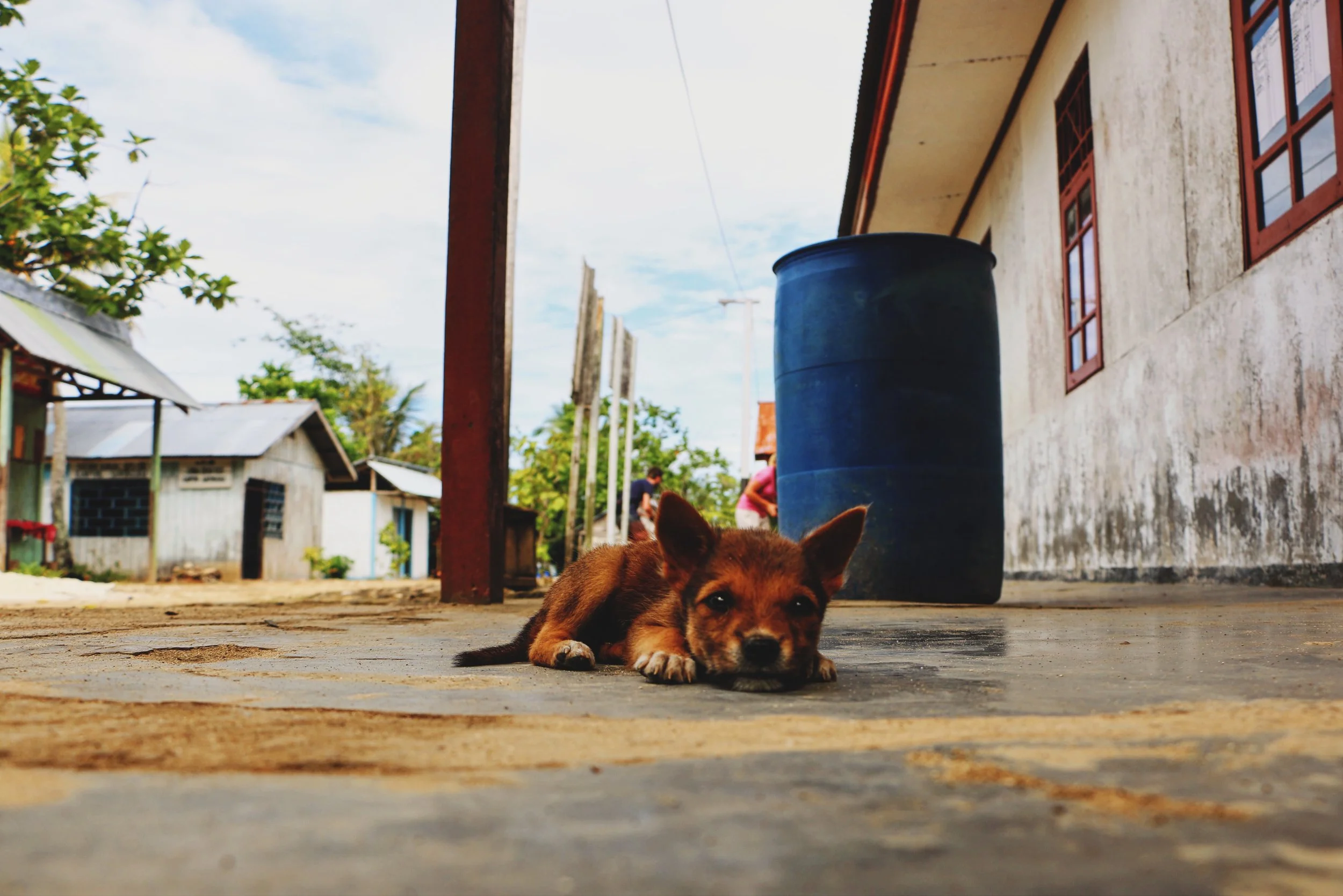 Day 9: Raja Ampat Islands