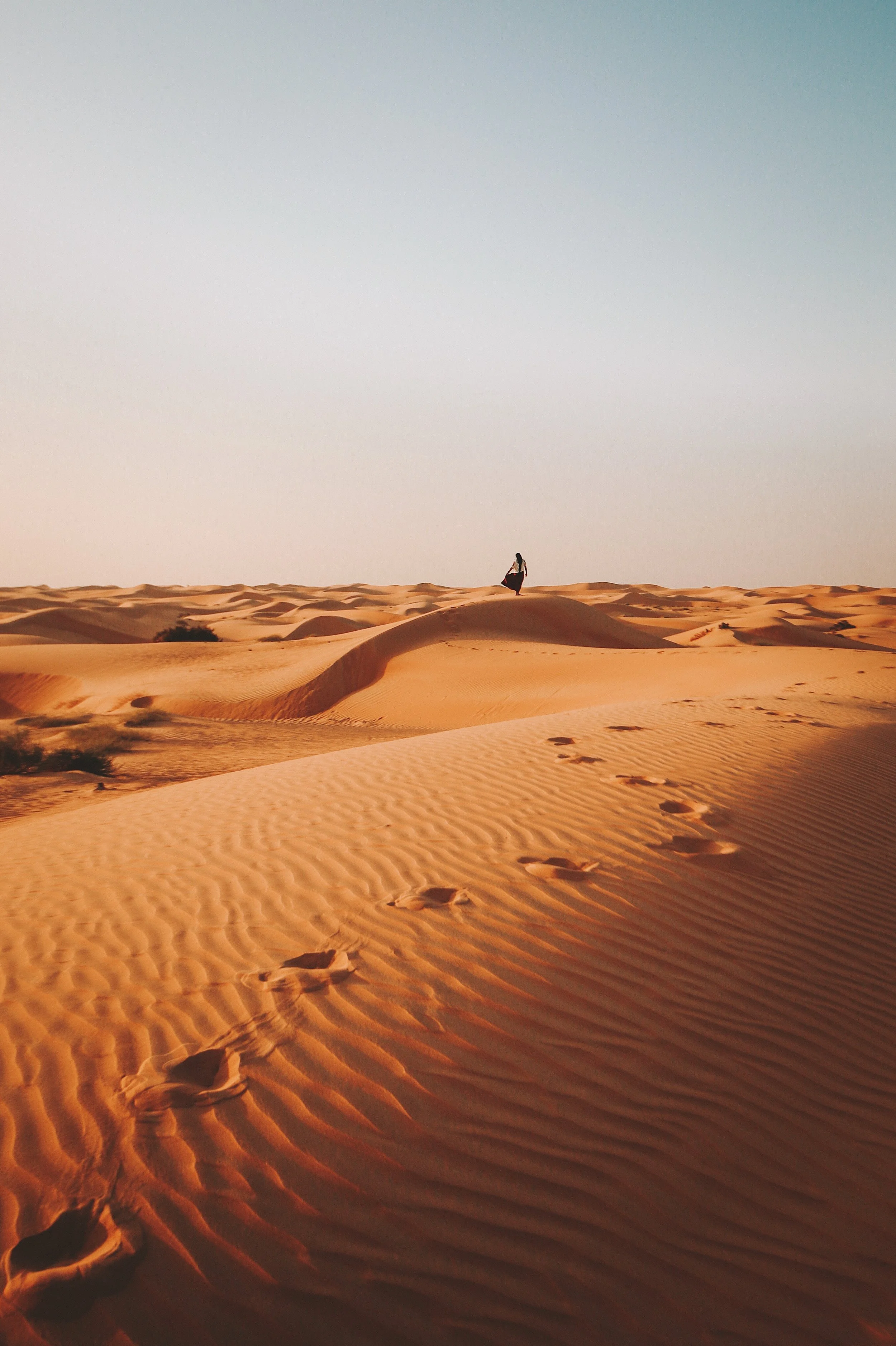 Photo 22-12-2016 13 48 59.jpg