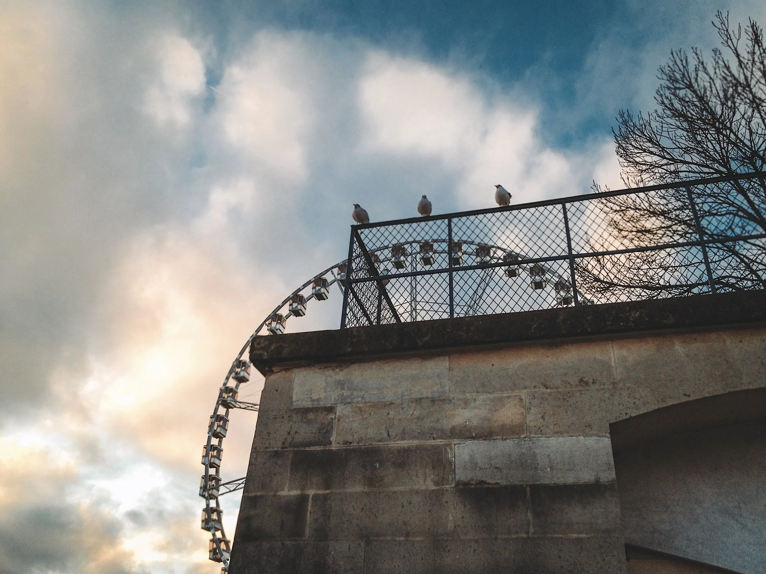 Jardin des Tuileries
