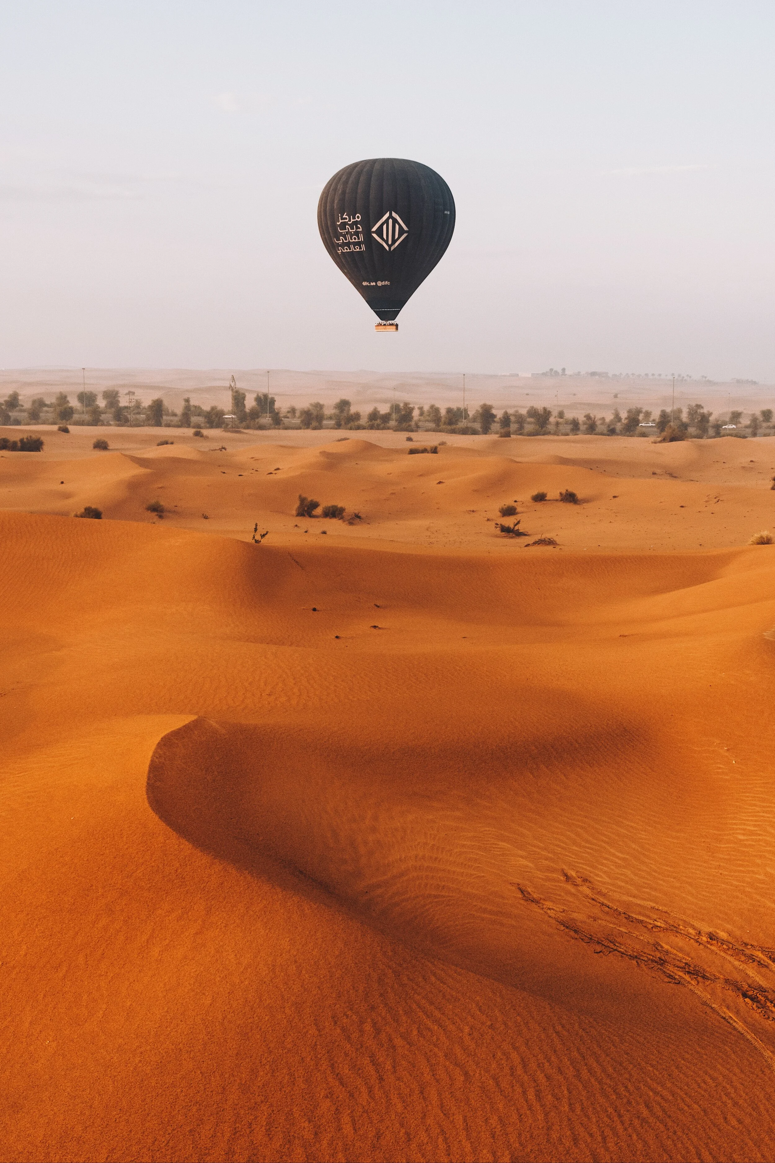 Day 8 - Air Balloon in the Dubai Desert