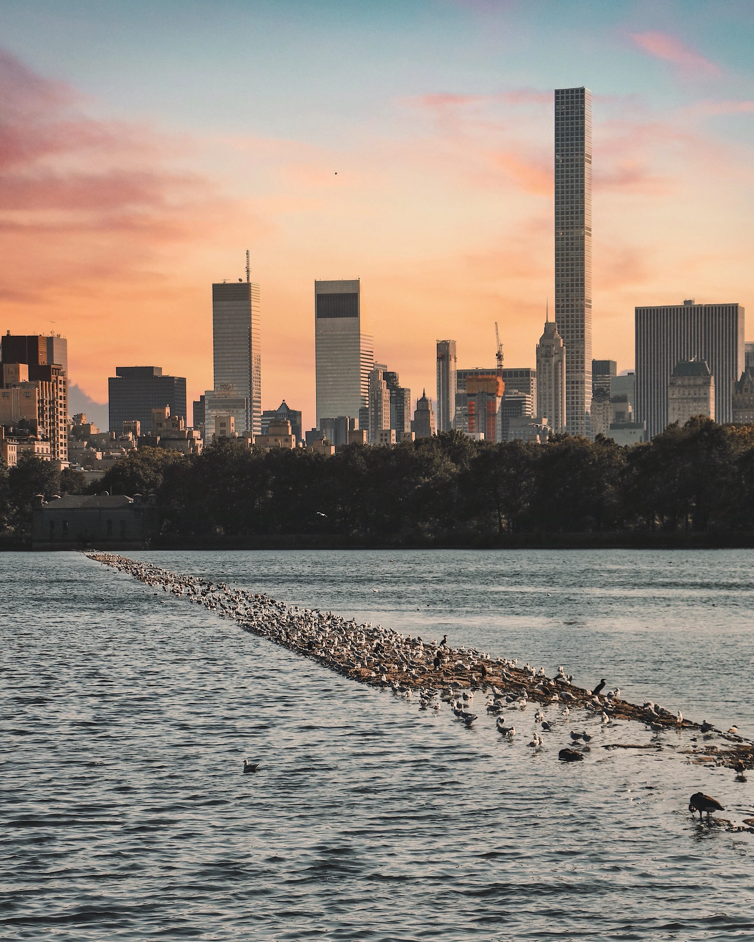 Photo 13-09-2016 21 31 13 (6).jpg