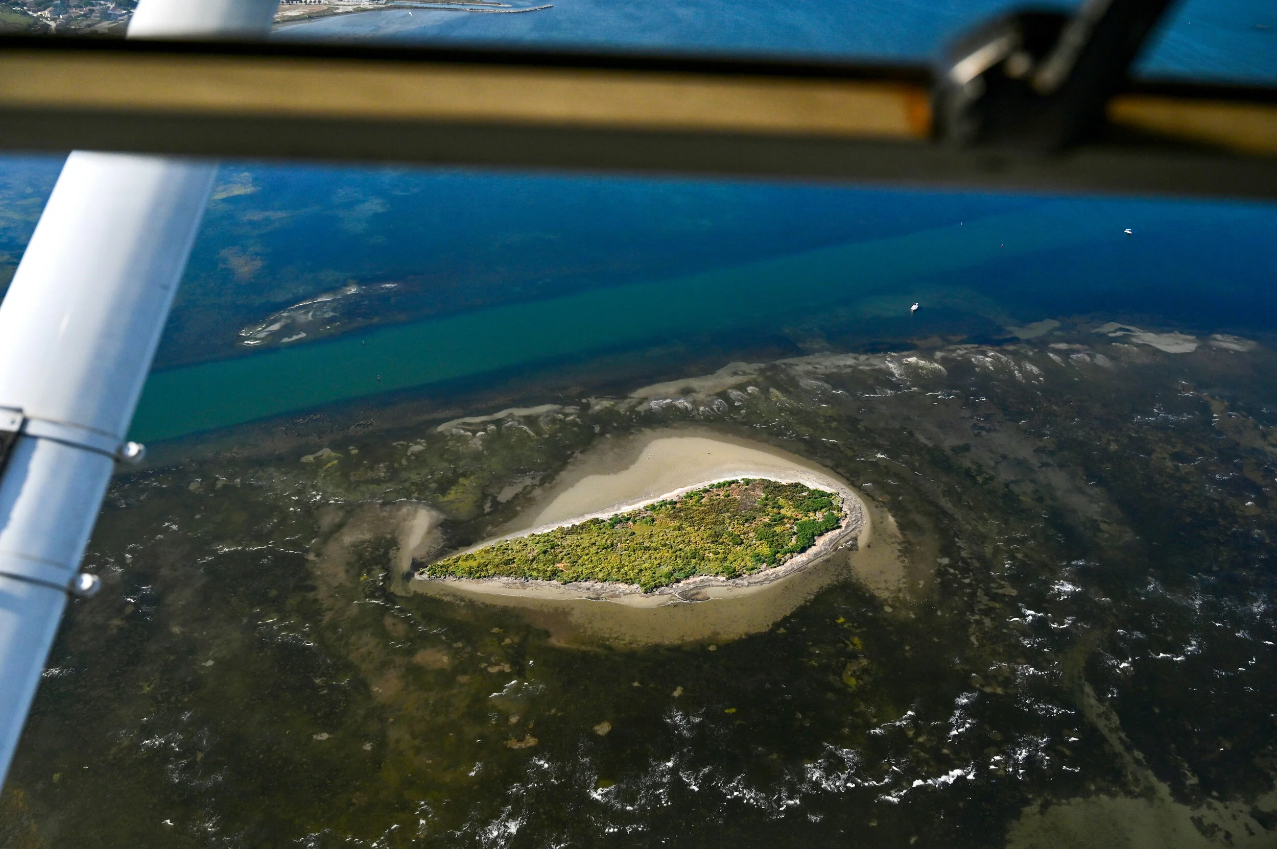 Camargue - France (Plane)