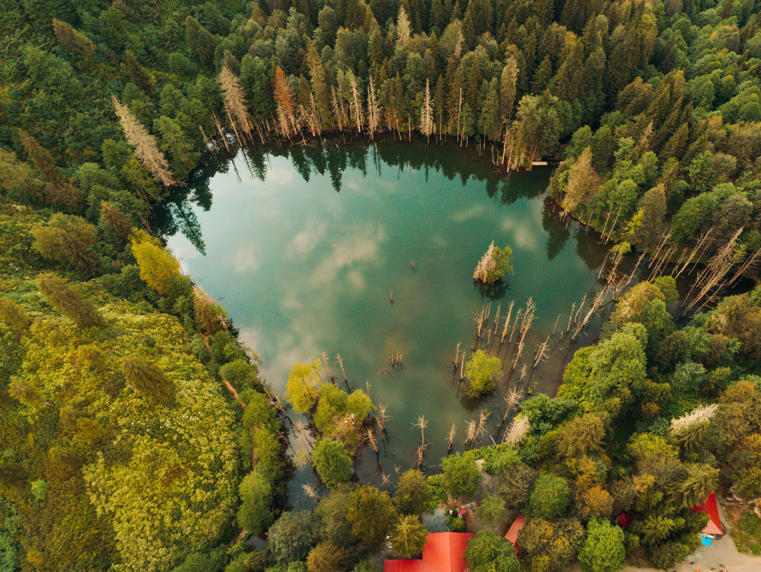Artvin - Turkey (Drone)