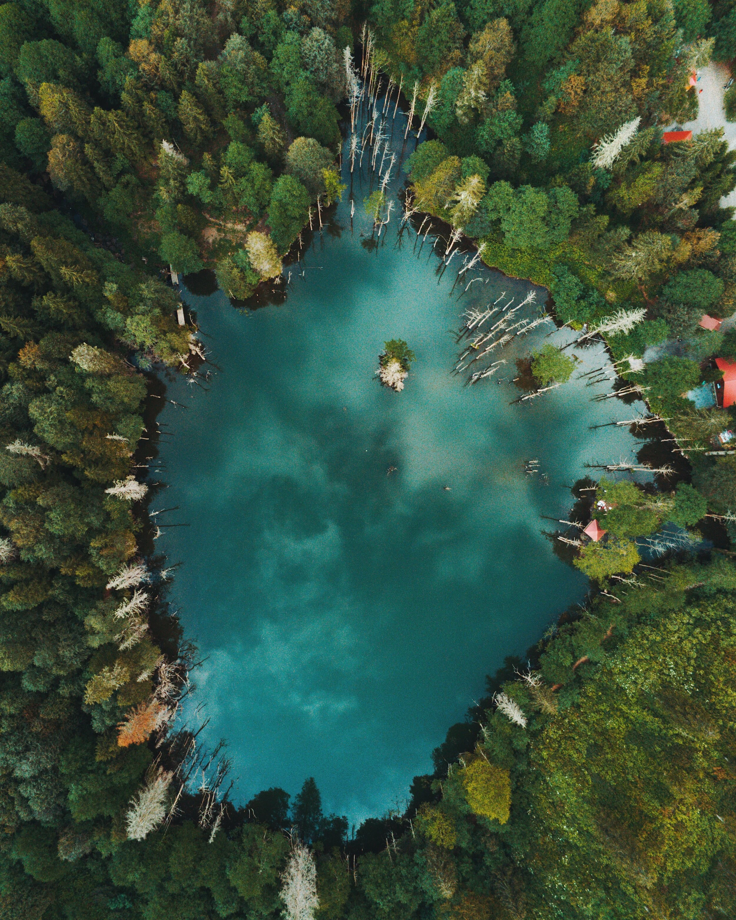 Artvin - Turkey (Drone)