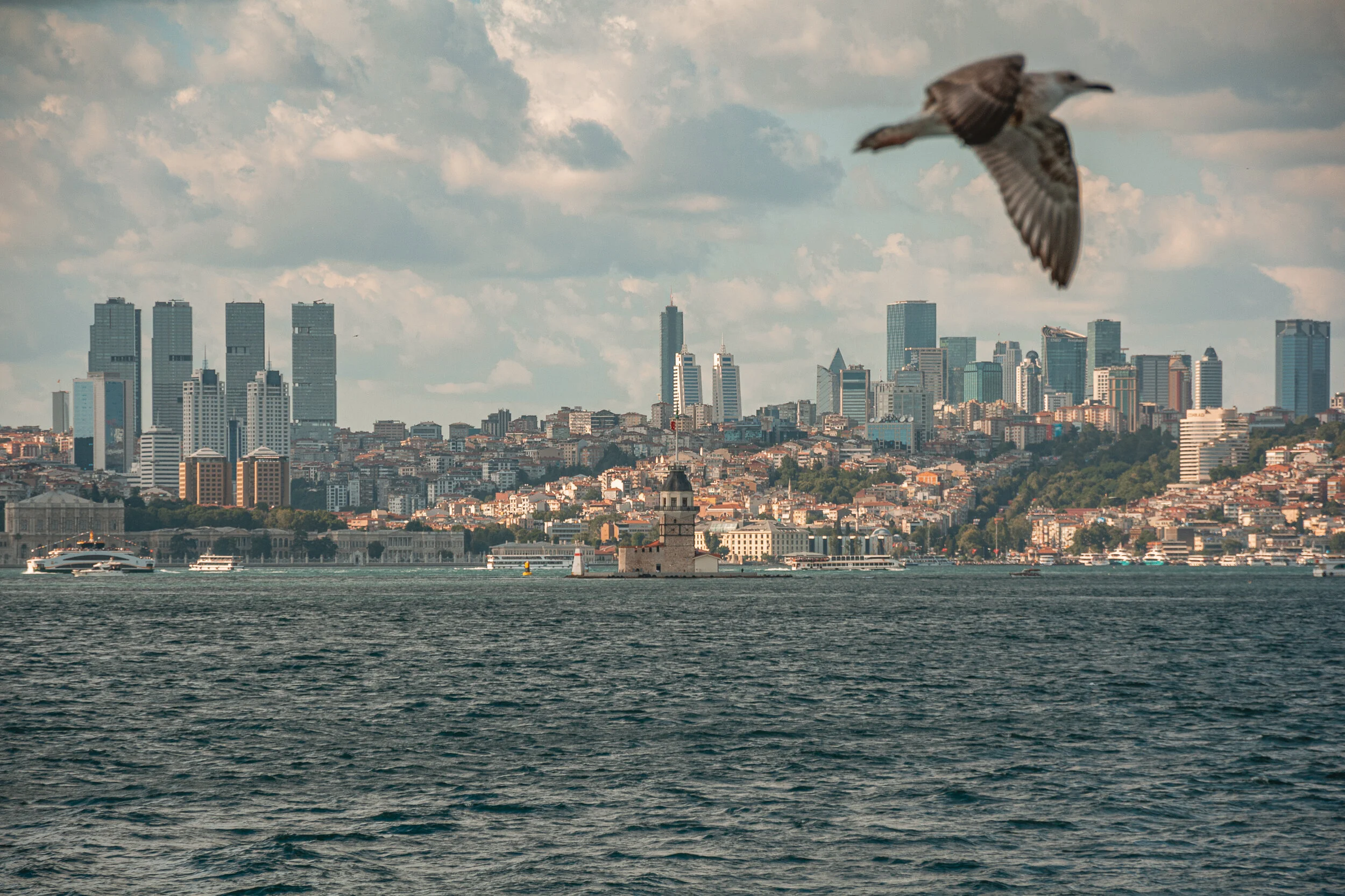 Istanbul - Turkey