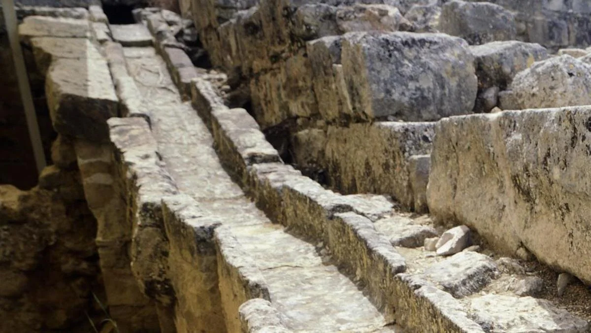 5 Interesting Historical Facts About Drains and Toilets