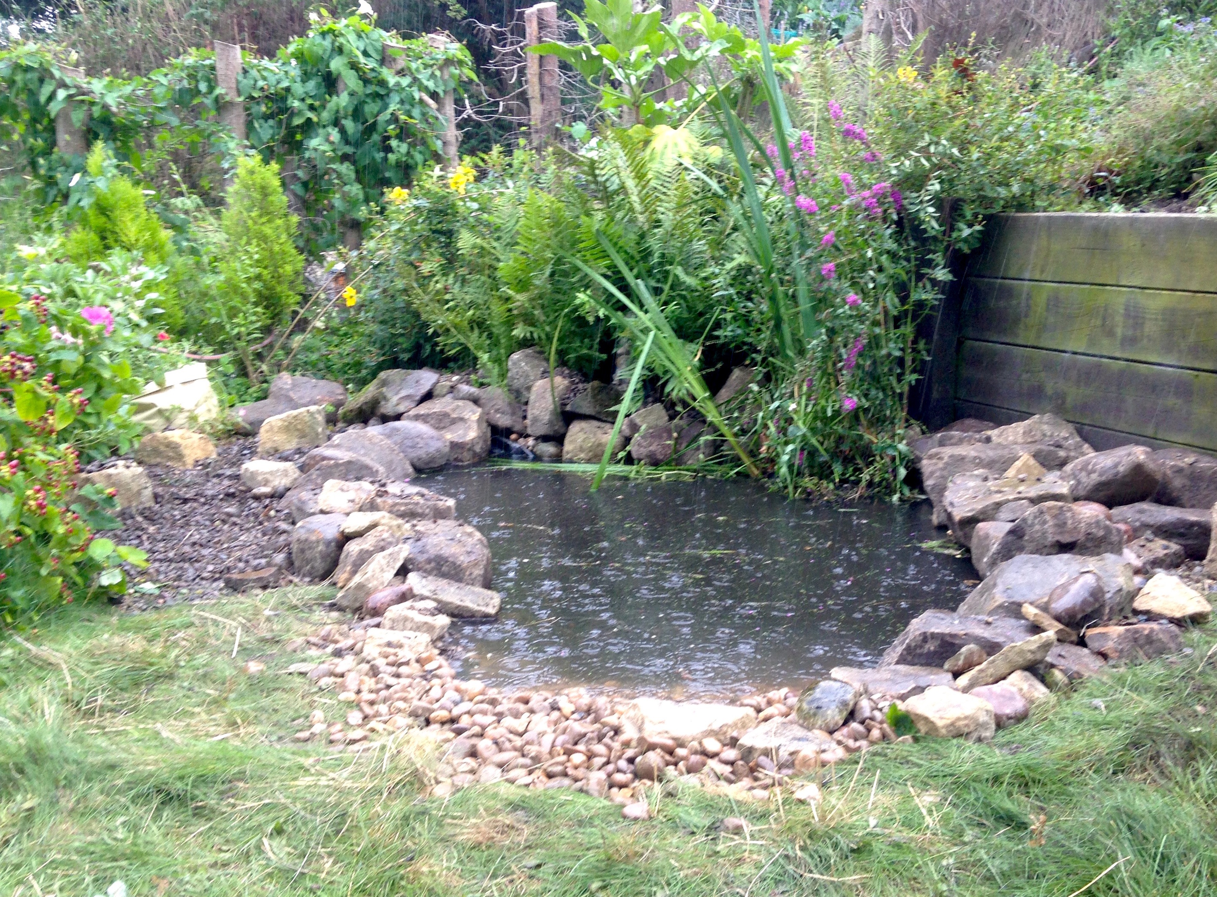 chris rivers ponds and water features design york 3.jpg