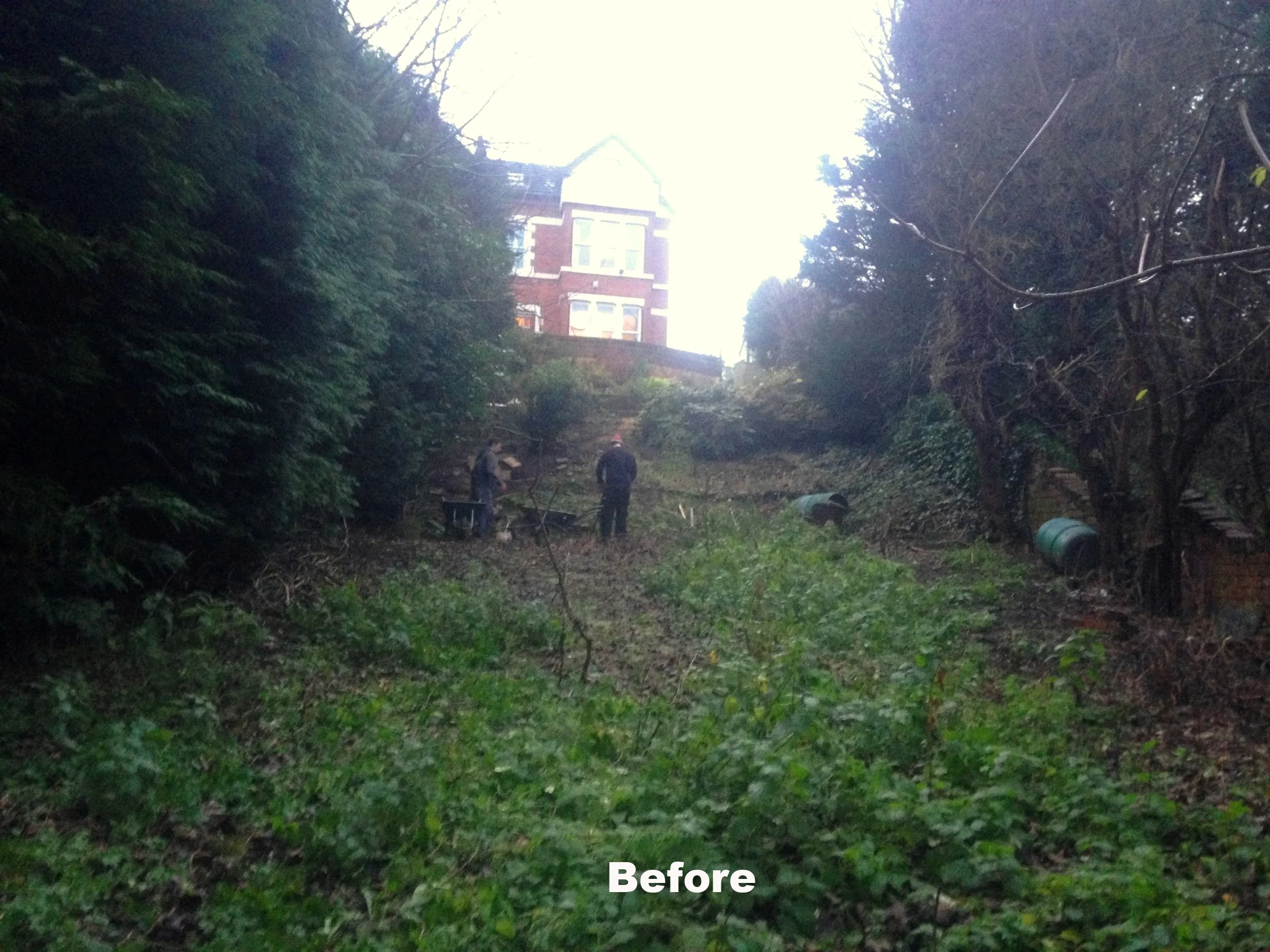 IMG_2794 xchris_rivers_garden_design_York.jpg
