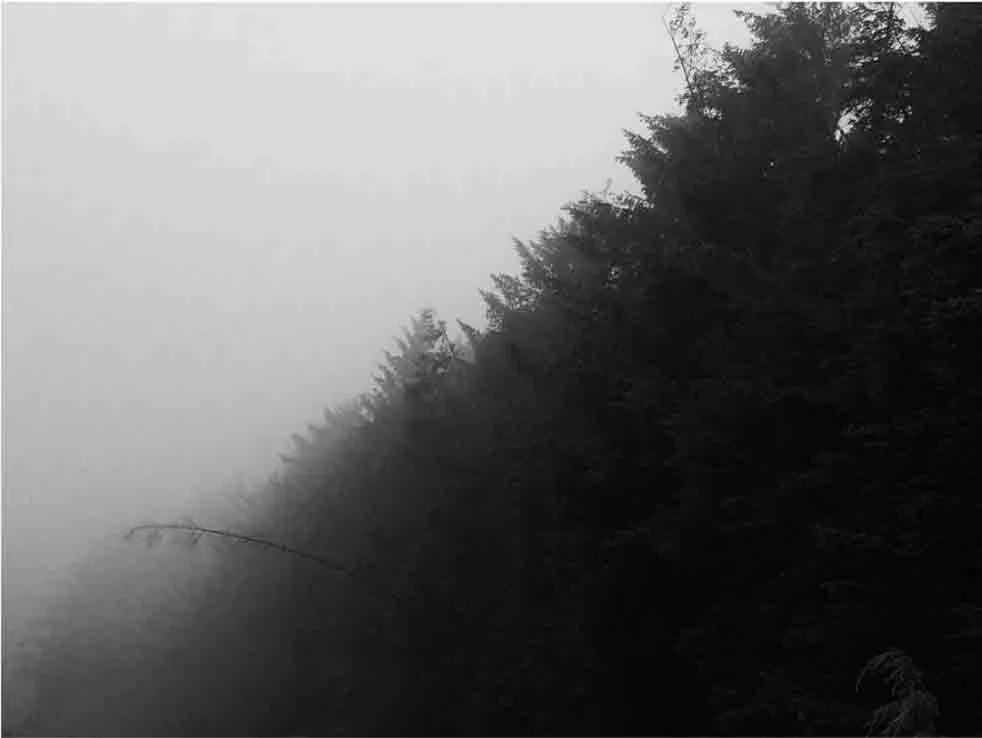 research | 'balmacara'