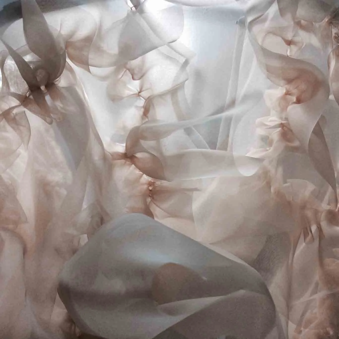 detail | sheer hand linked silk sample
