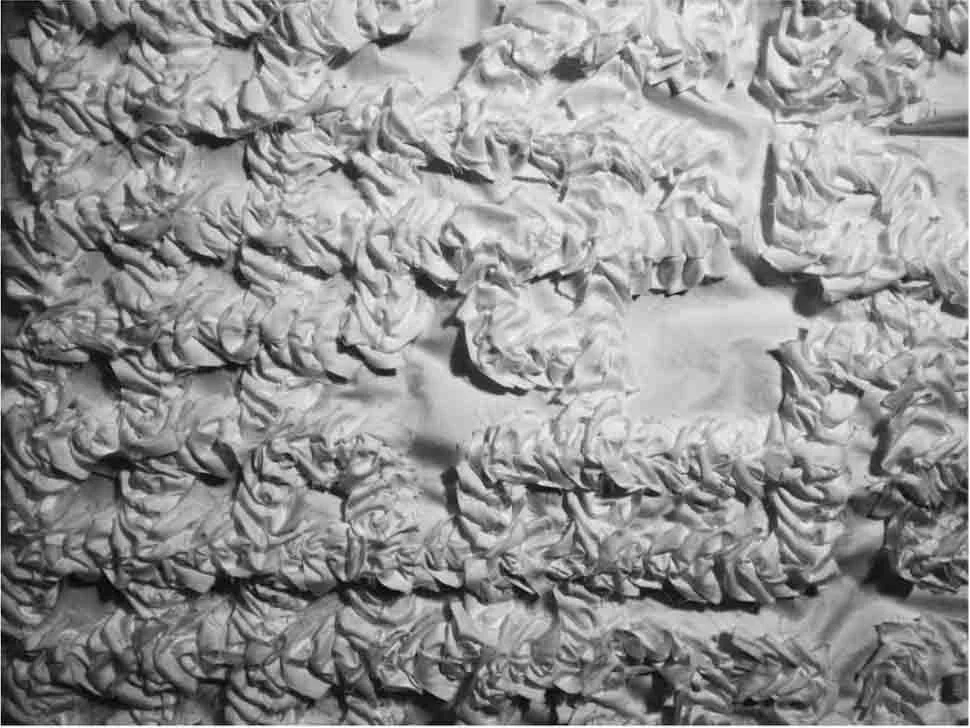internal detail of 'digitalis' shirt