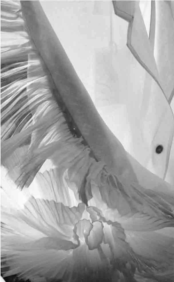 detail | hand-linked sheer digitalis coat