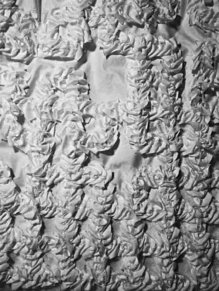 internal construction detail | digitalis