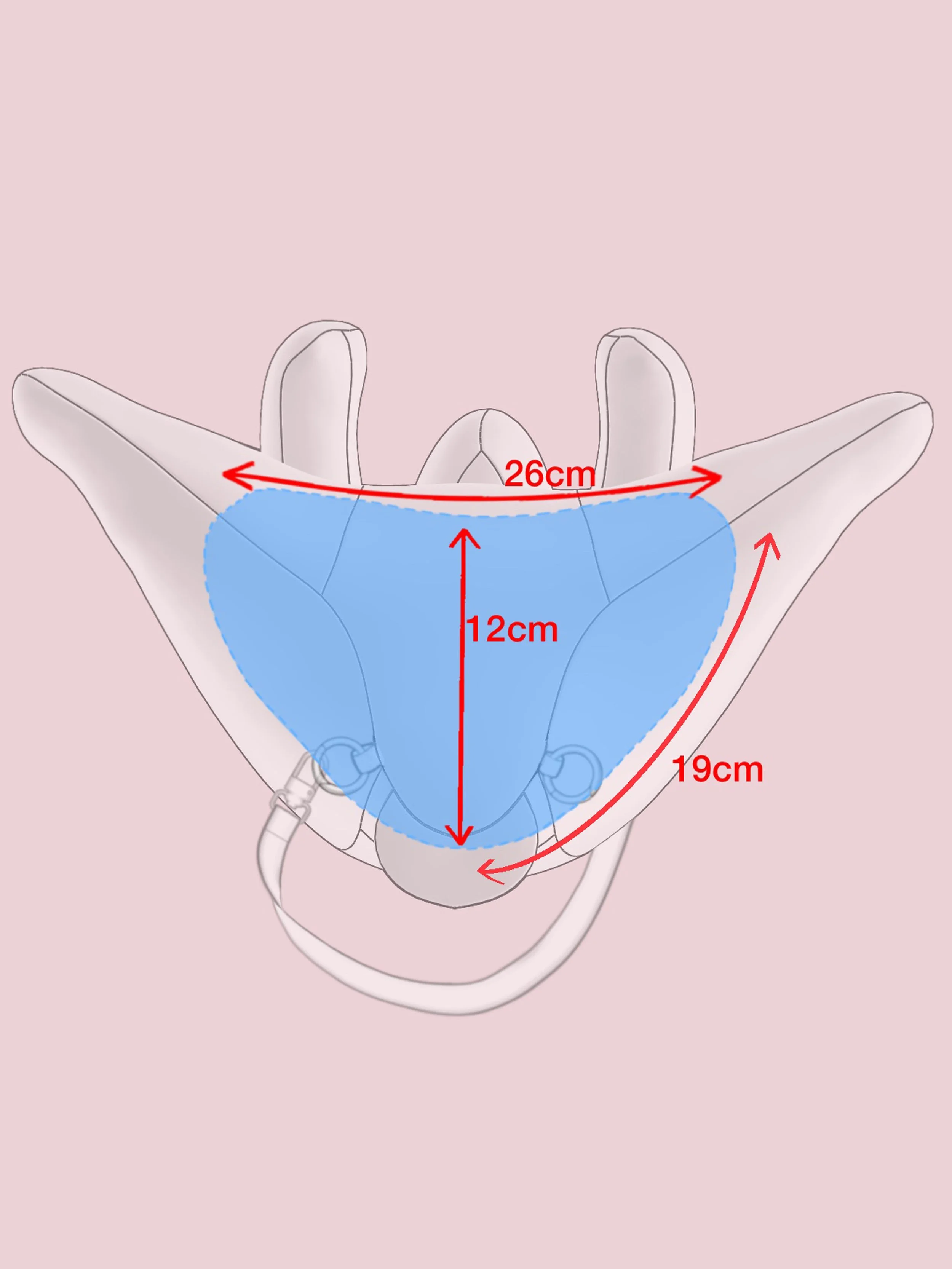 Rabbit bag_Internal Measurement 3.jpg