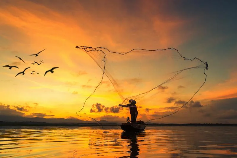 Cast a Wide Net