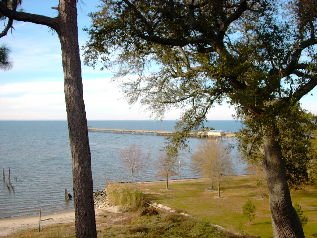 pict0487.jpg