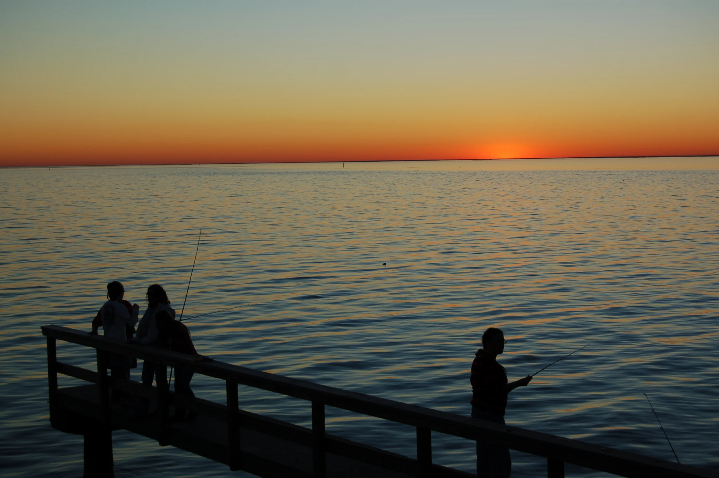 DSC_0038_0088.jpg