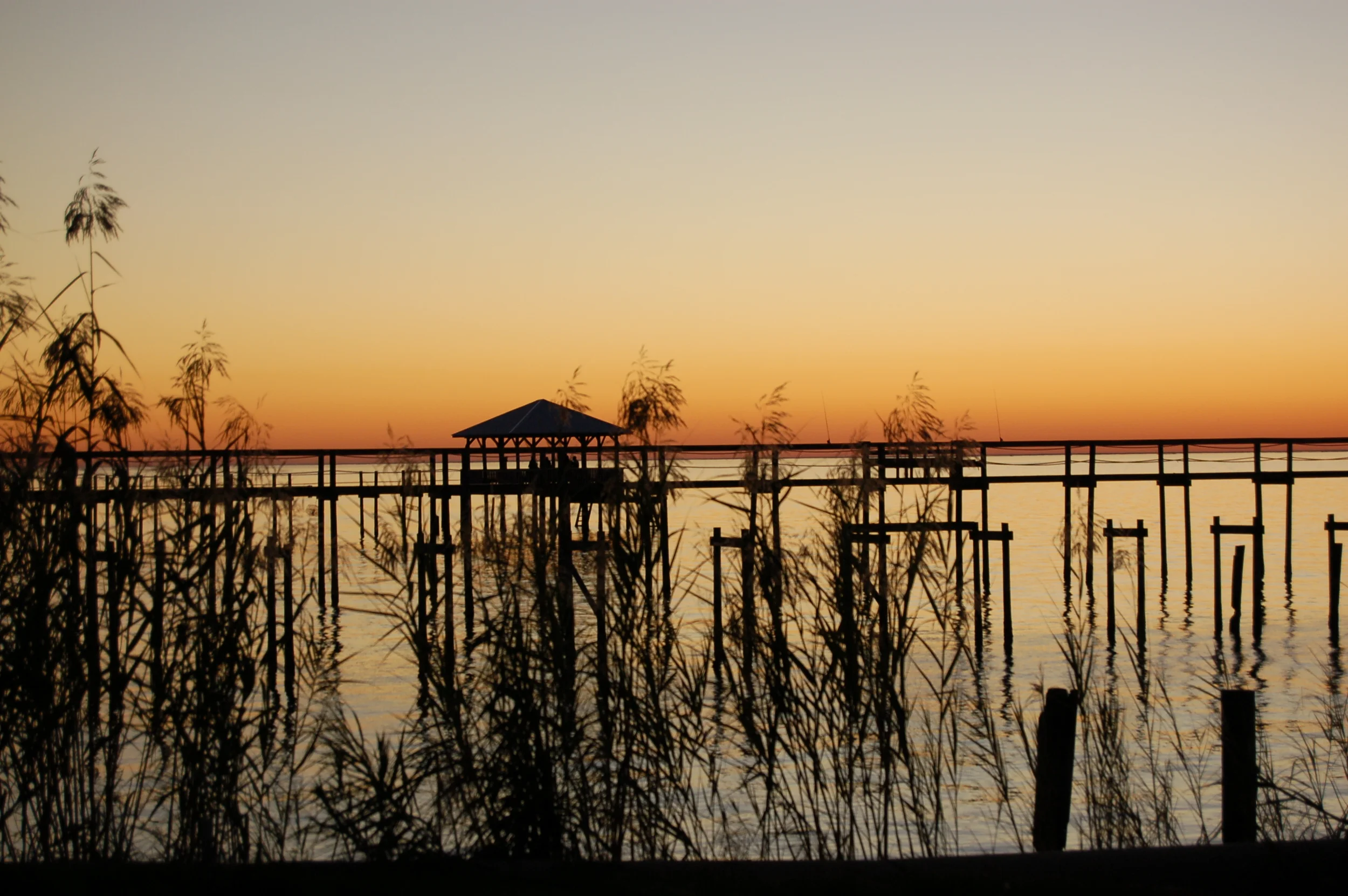 DSC_0039_0087.jpg