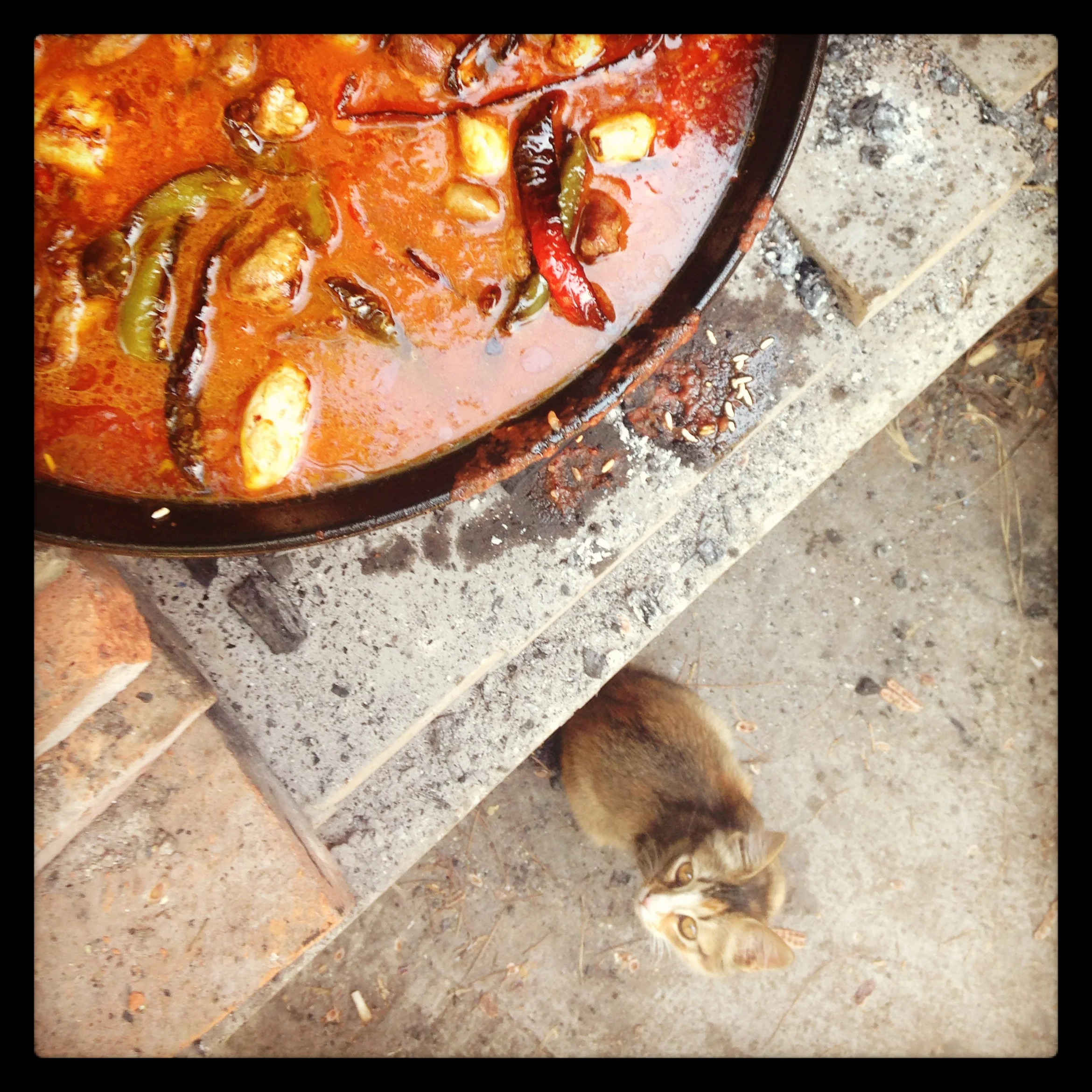paella-3.jpeg