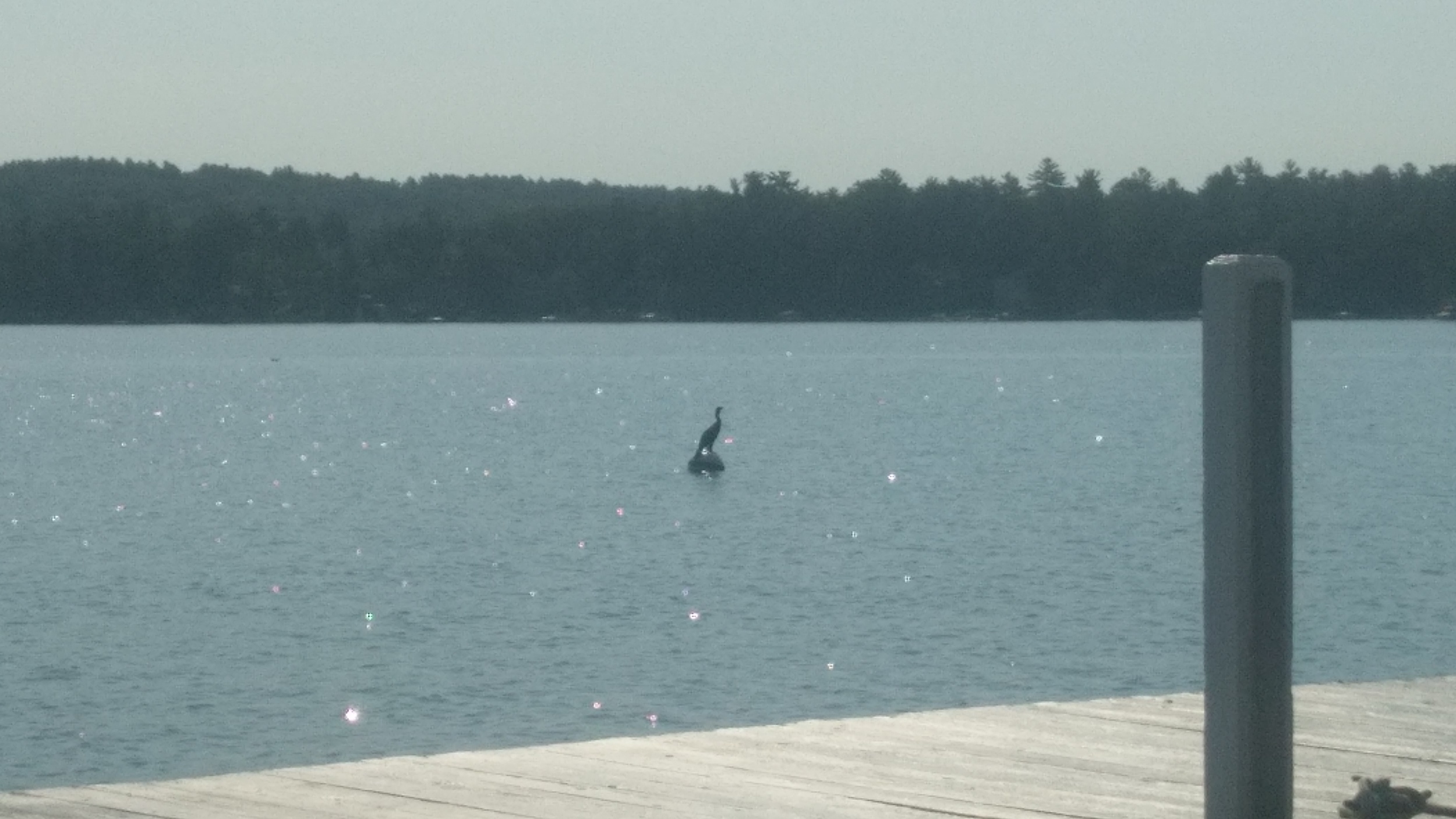 Crane on a buoy