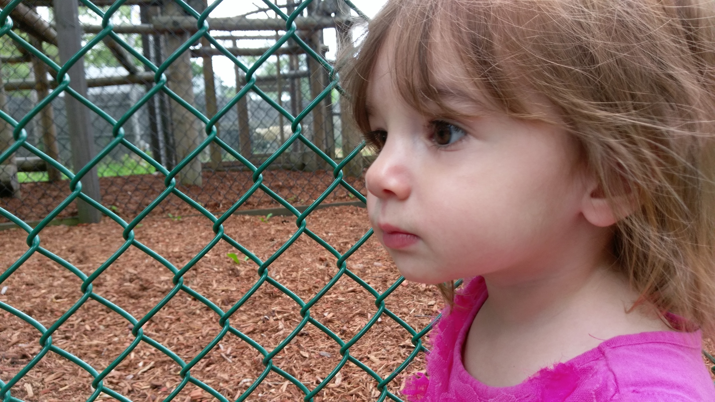 Cece at the zoo